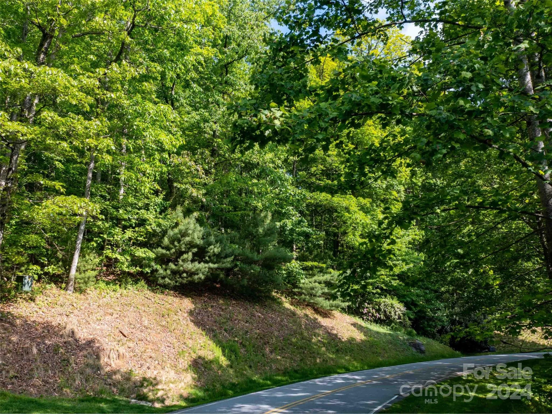 166 Chattooga Run #293 - Photo 2