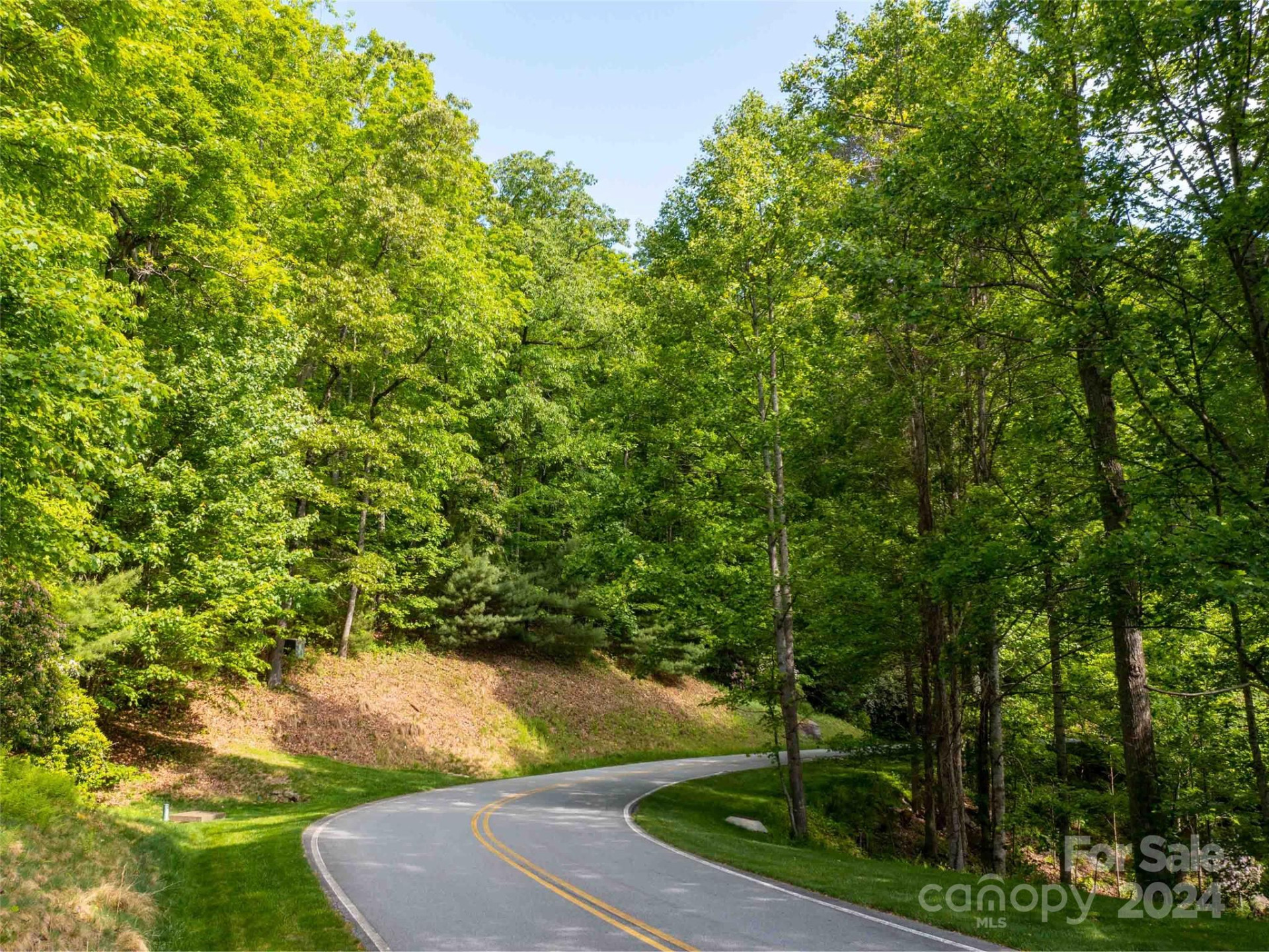 166 Chattooga Run #293 - Photo 11