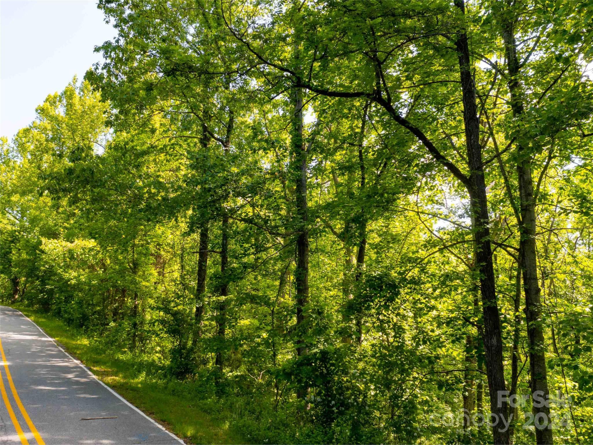 166 Chattooga Run #293 - Photo 12
