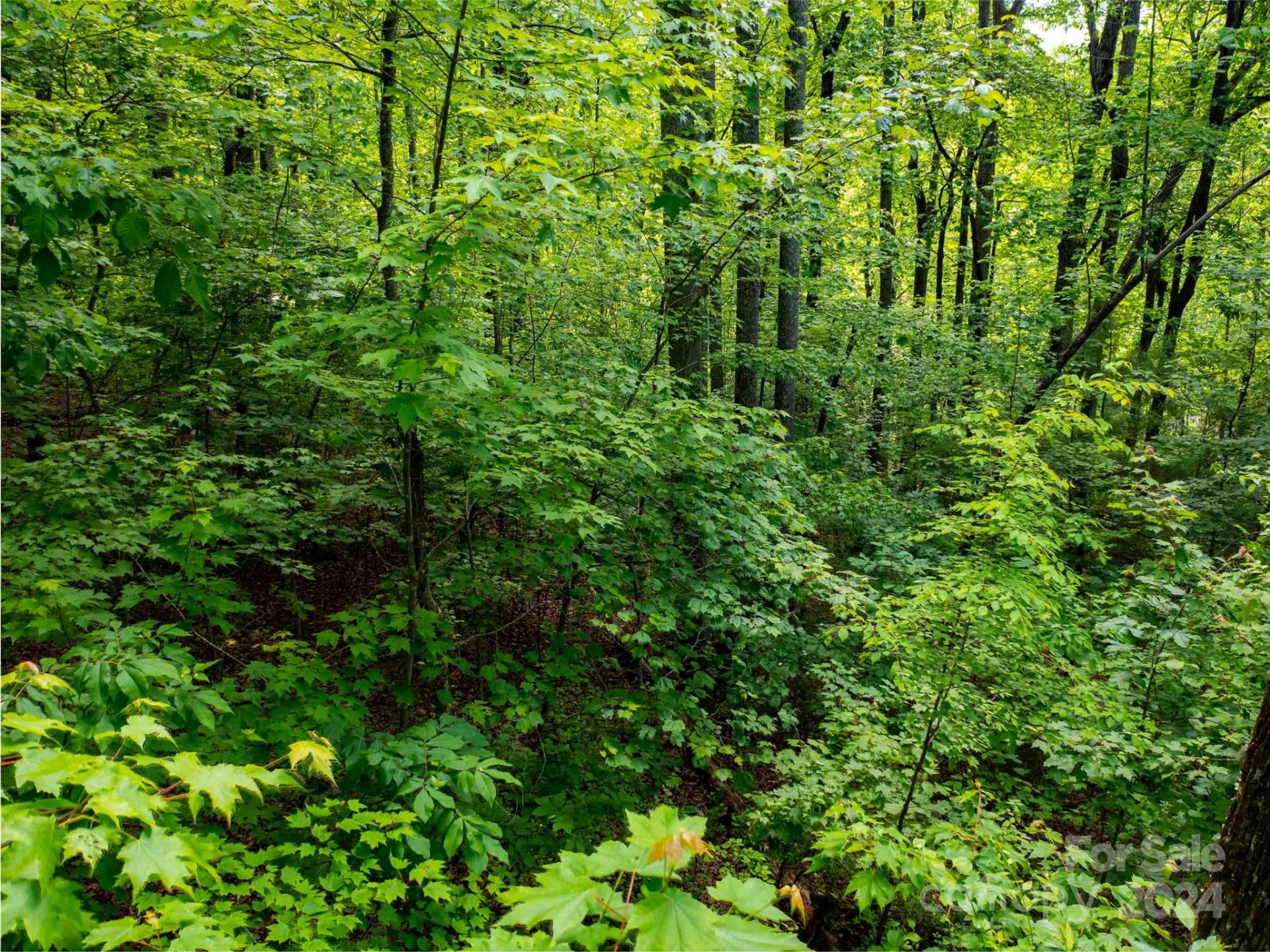 166 Chattooga Run #293 - Photo 14