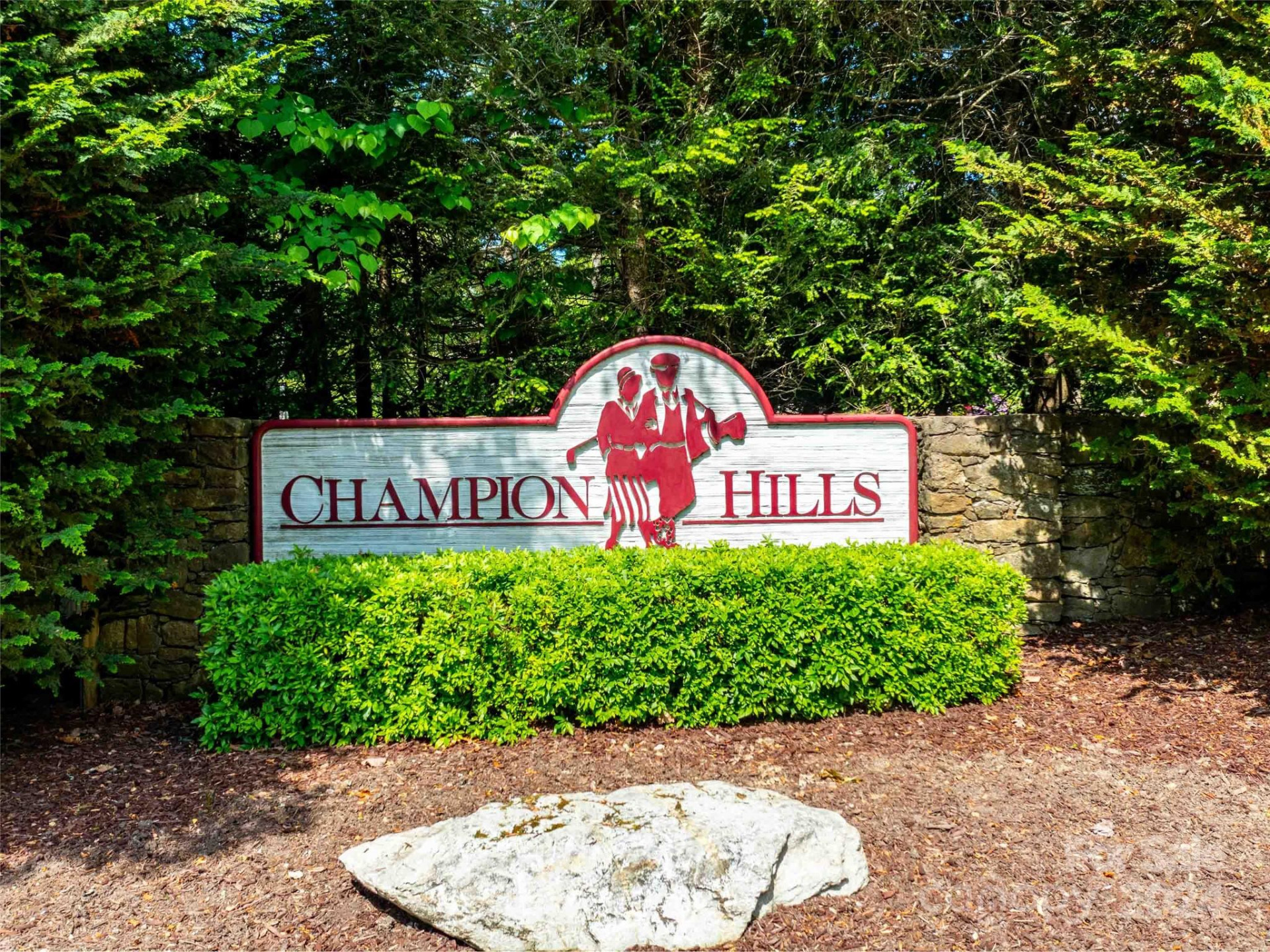 166 Chattooga Run #293 - Photo 15