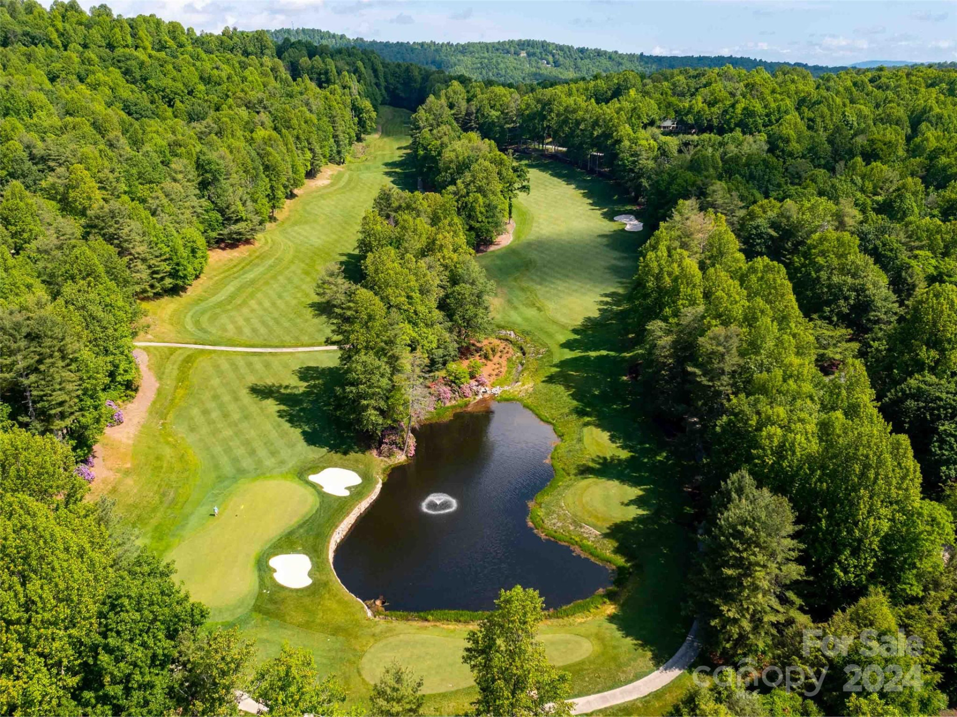 166 Chattooga Run #293 - Photo 16