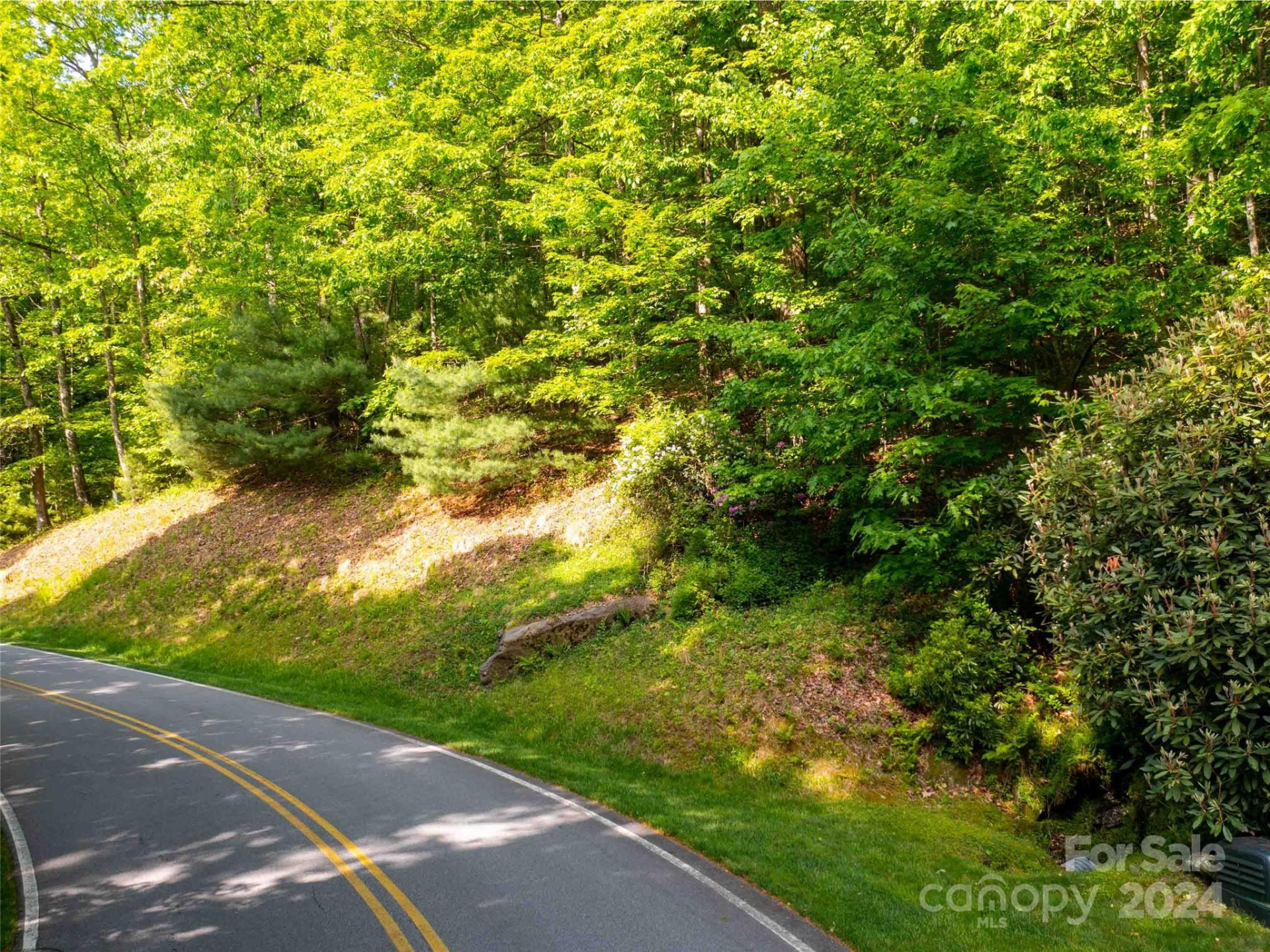 166 Chattooga Run #293 - Photo 3