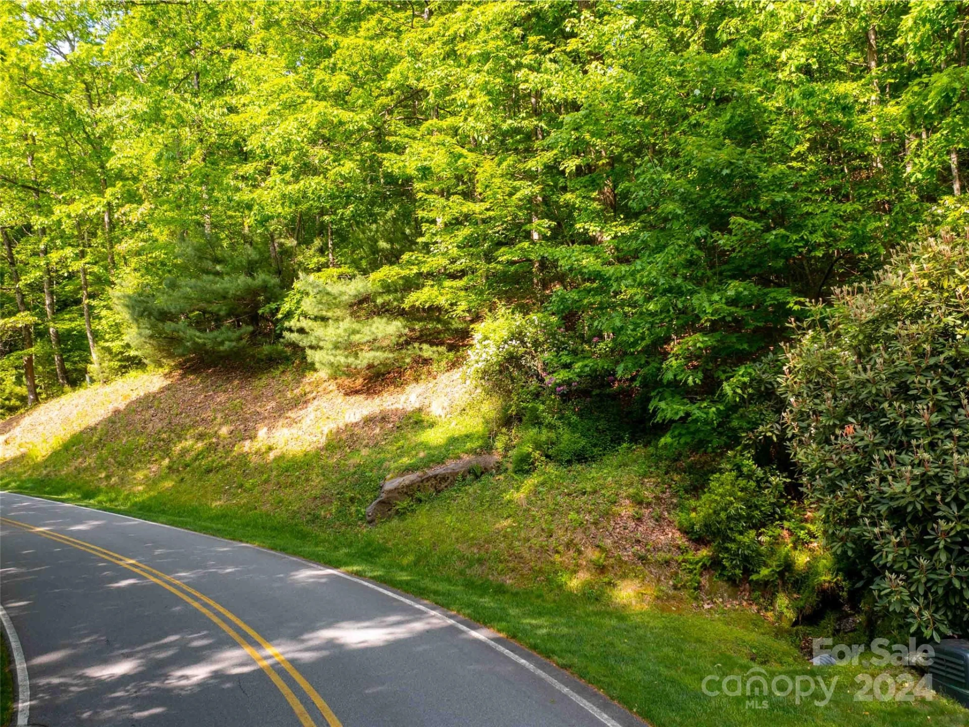 166 Chattooga Run #293 - Photo 3