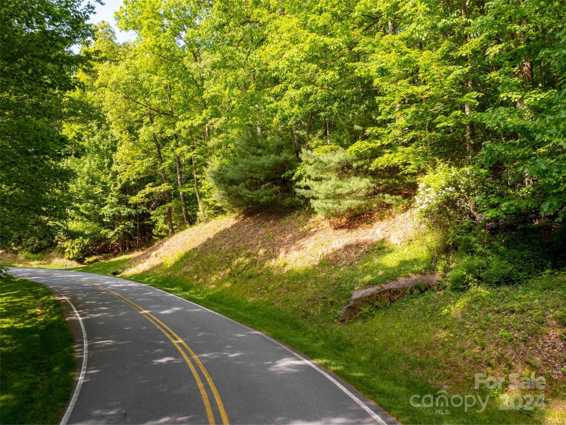 166 Chattooga Run #293 - Photo 4