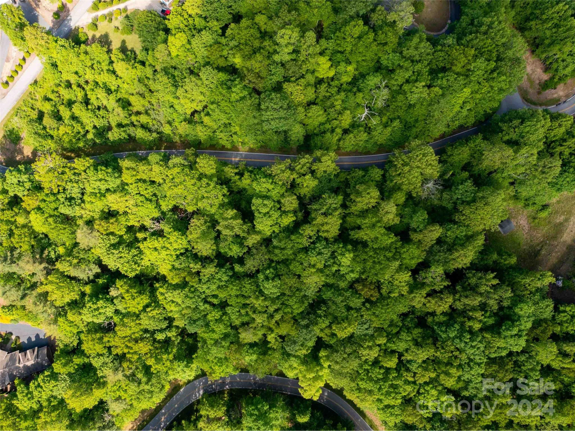 166 Chattooga Run #293 - Photo 6