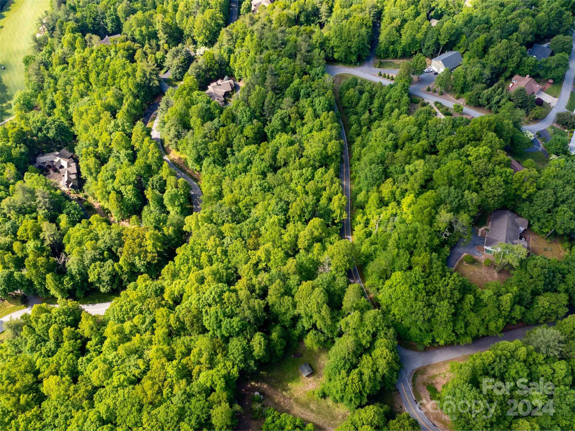 166 Chattooga Run #293 - Photo 8