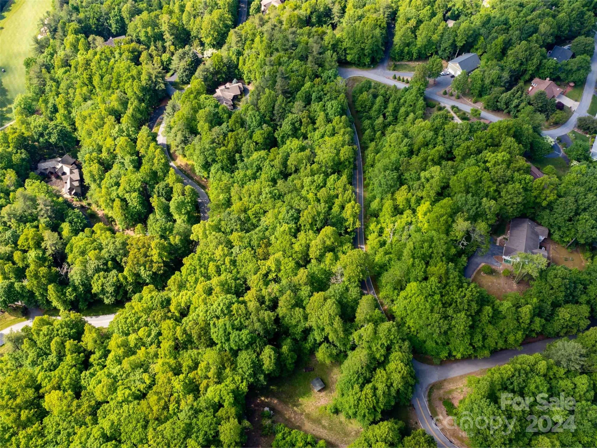 166 Chattooga Run #293 - Photo 8