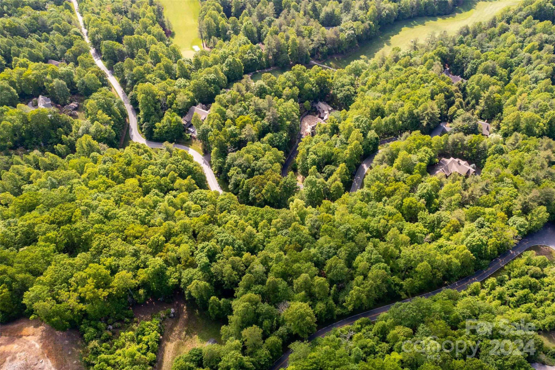 166 Chattooga Run #293 - Photo 10