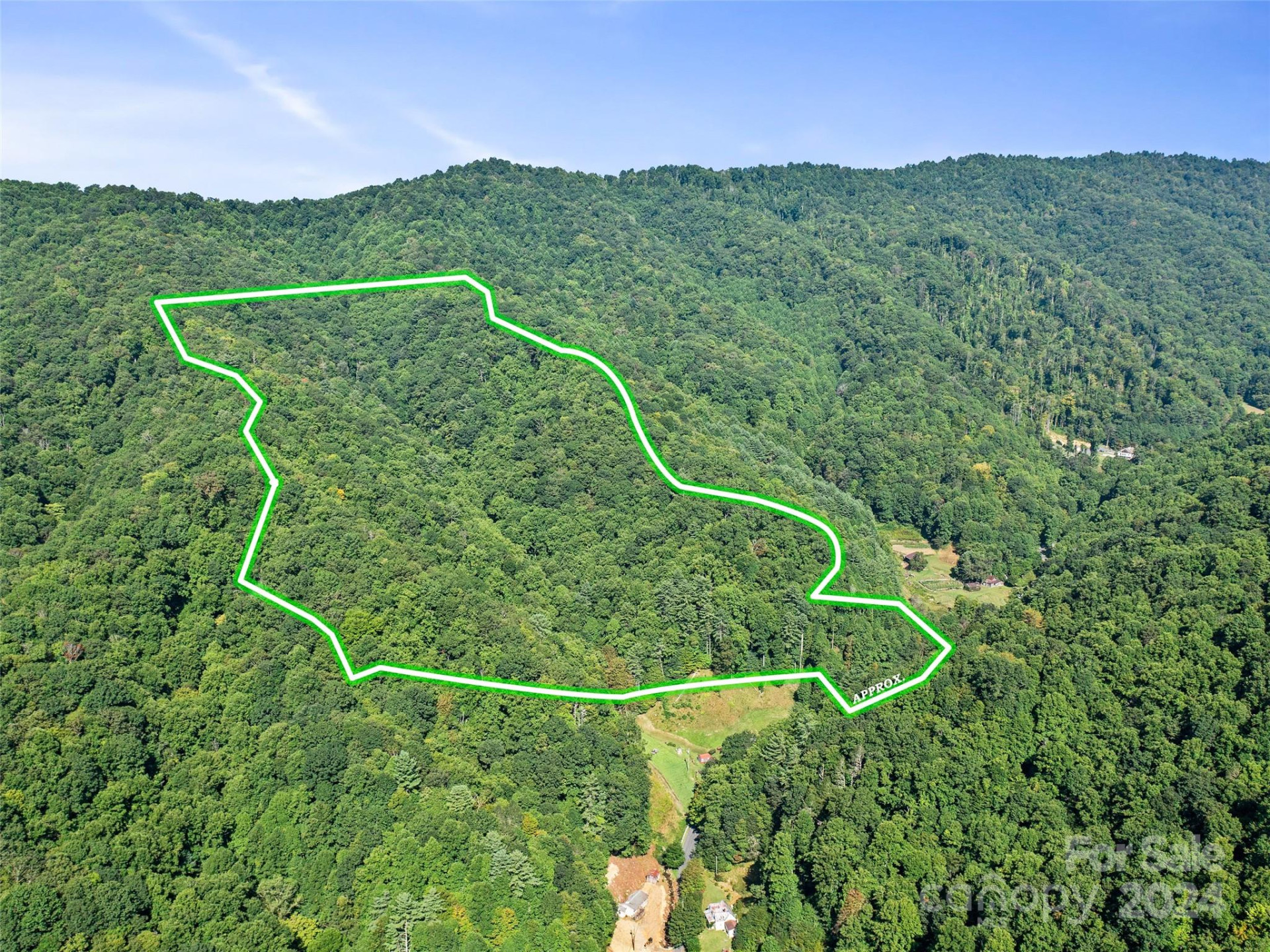 000 Byrd Creek Road - Photo 2