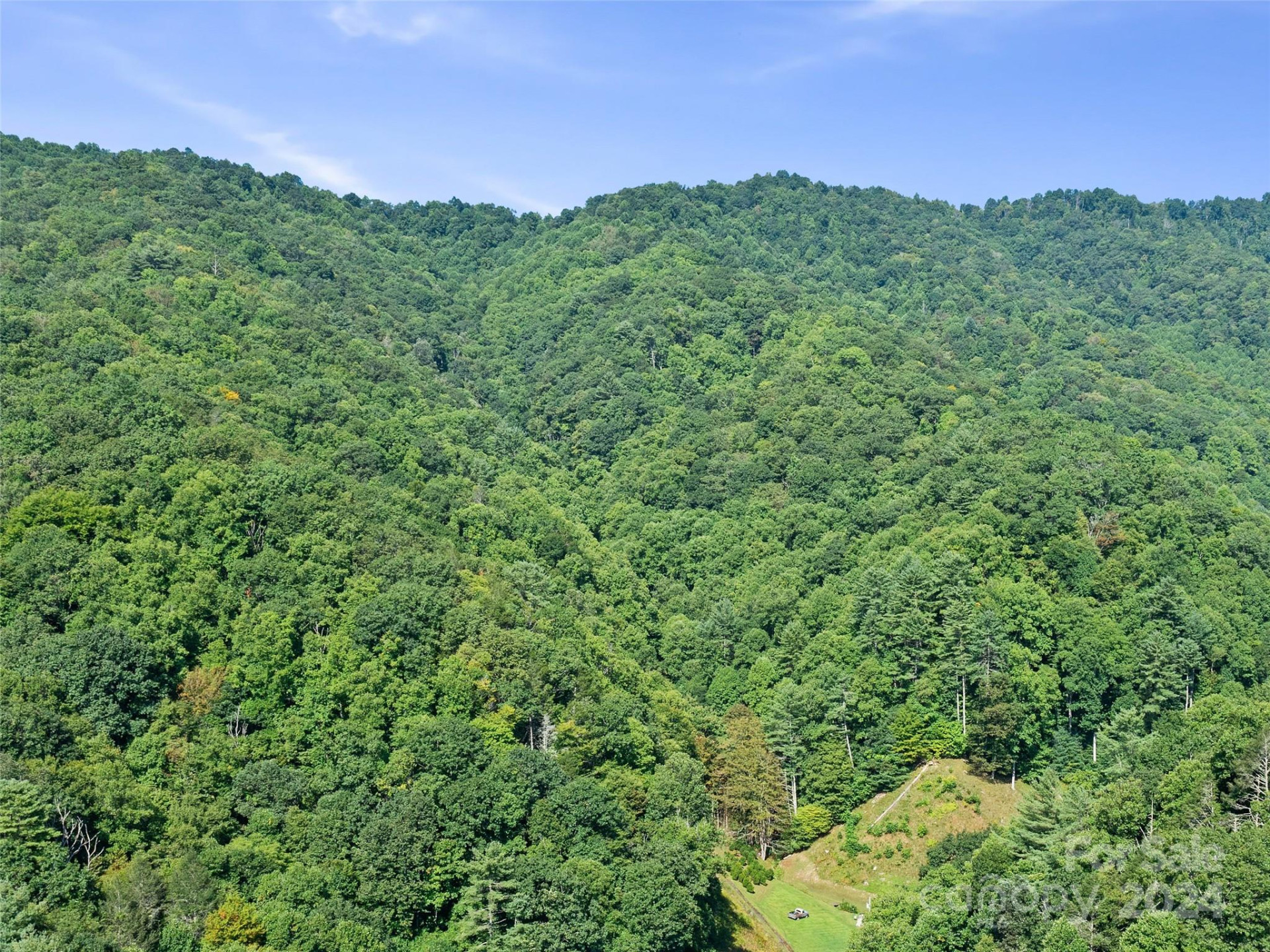 000 Byrd Creek Road - Photo 11