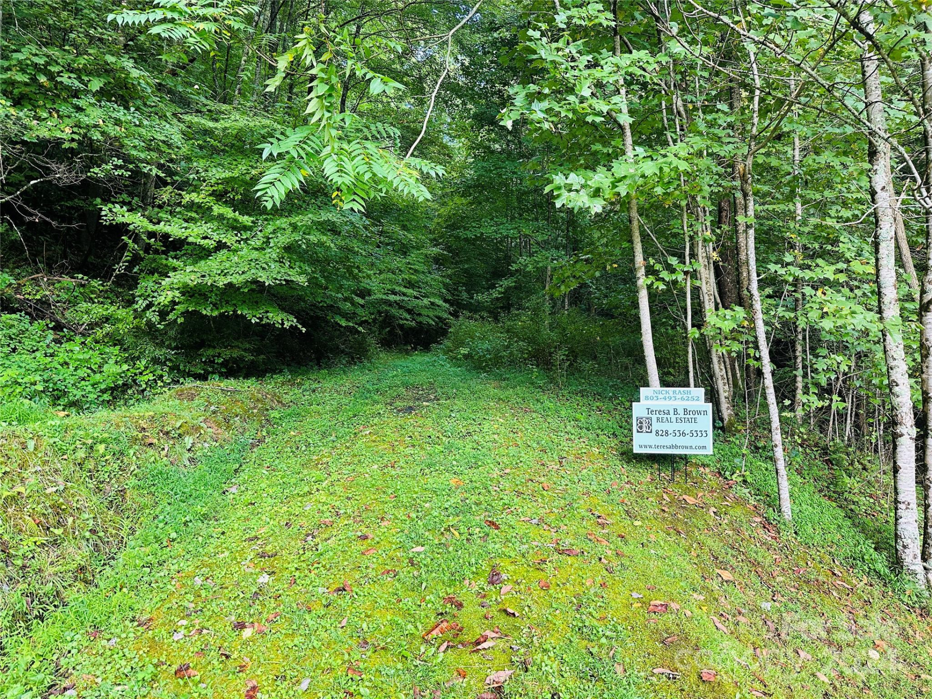 000 Byrd Creek Road - Photo 13