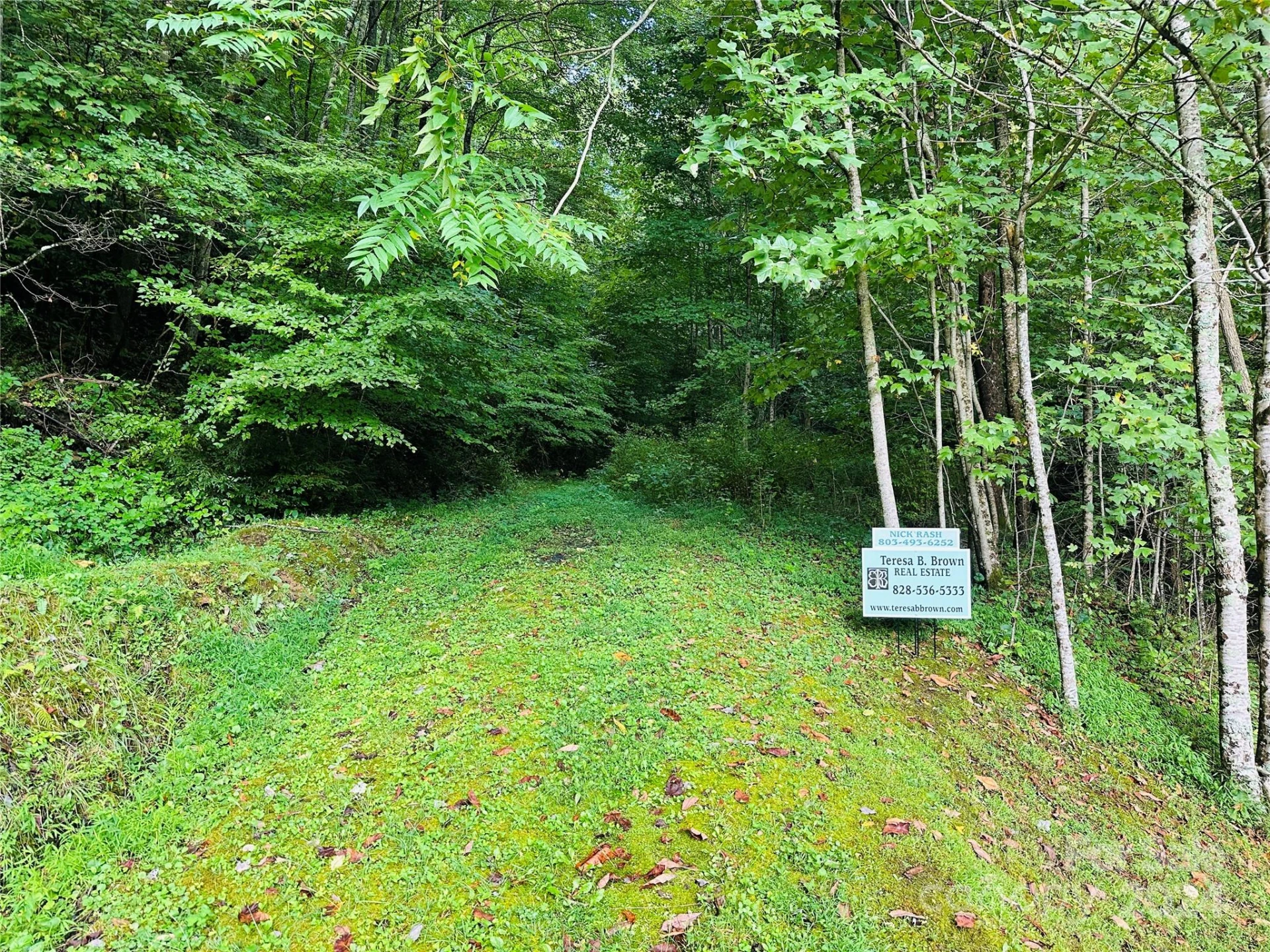 000 Byrd Creek Road - Photo 13