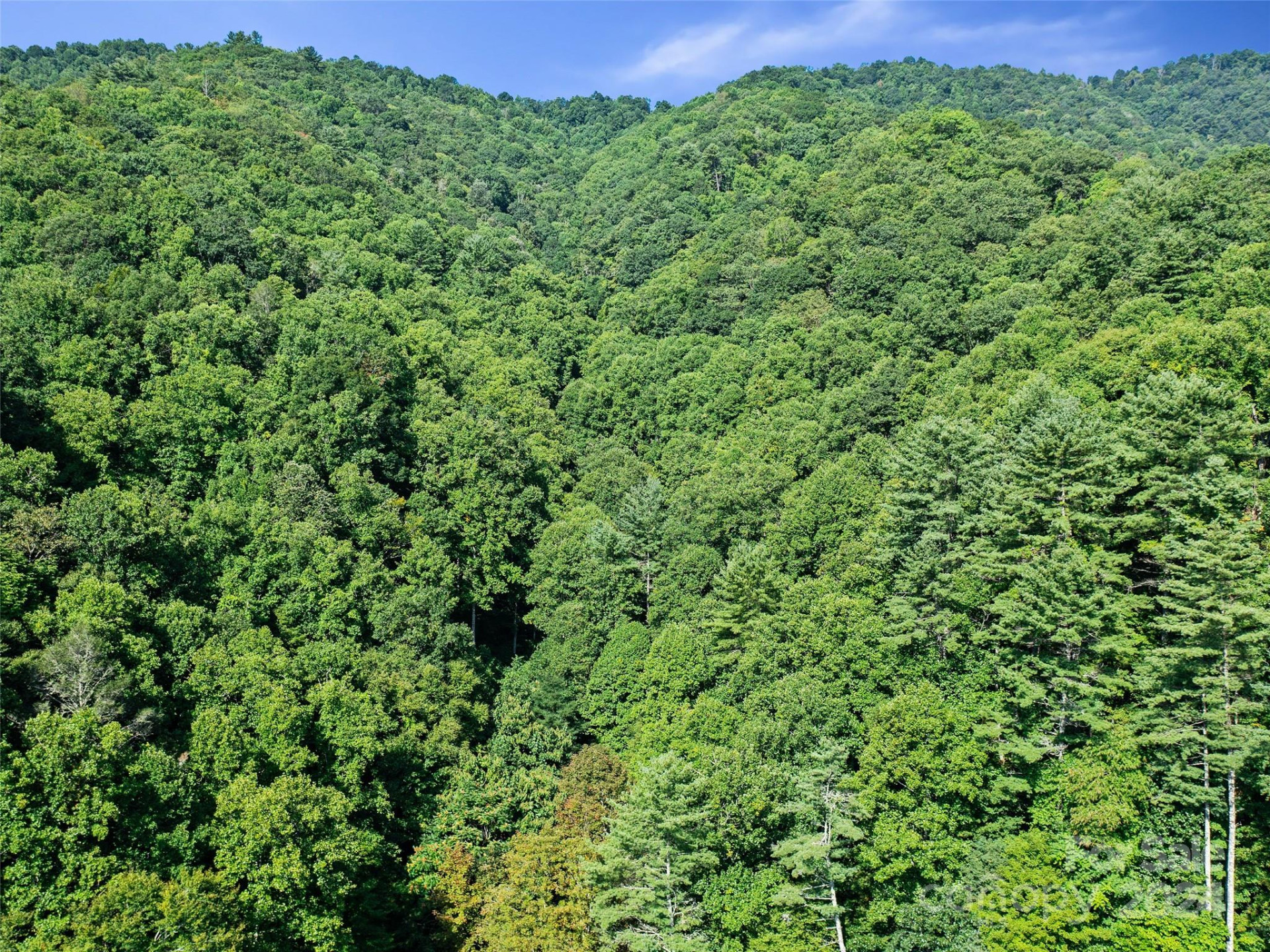 000 Byrd Creek Road - Photo 14