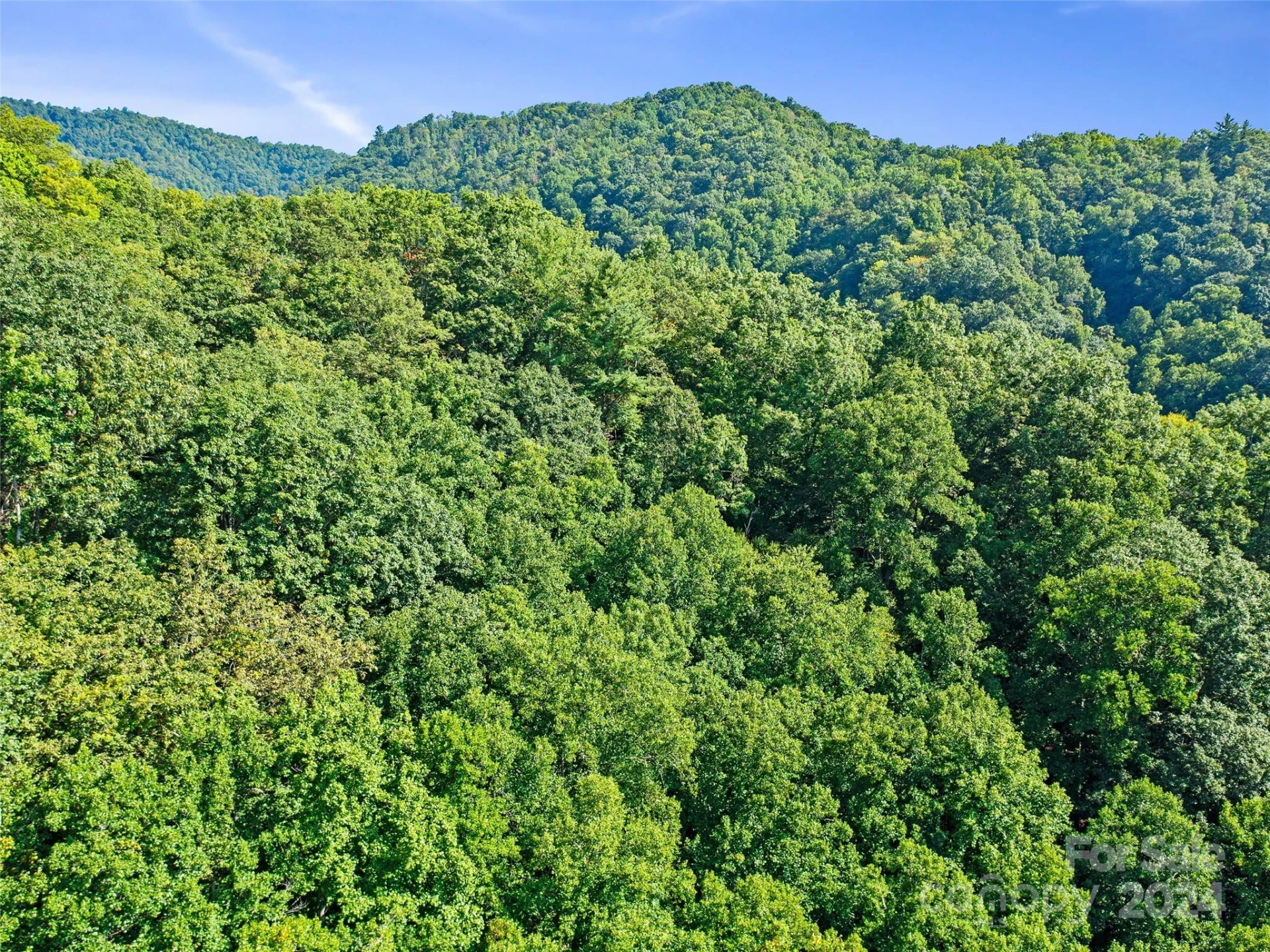 000 Byrd Creek Road - Photo 15