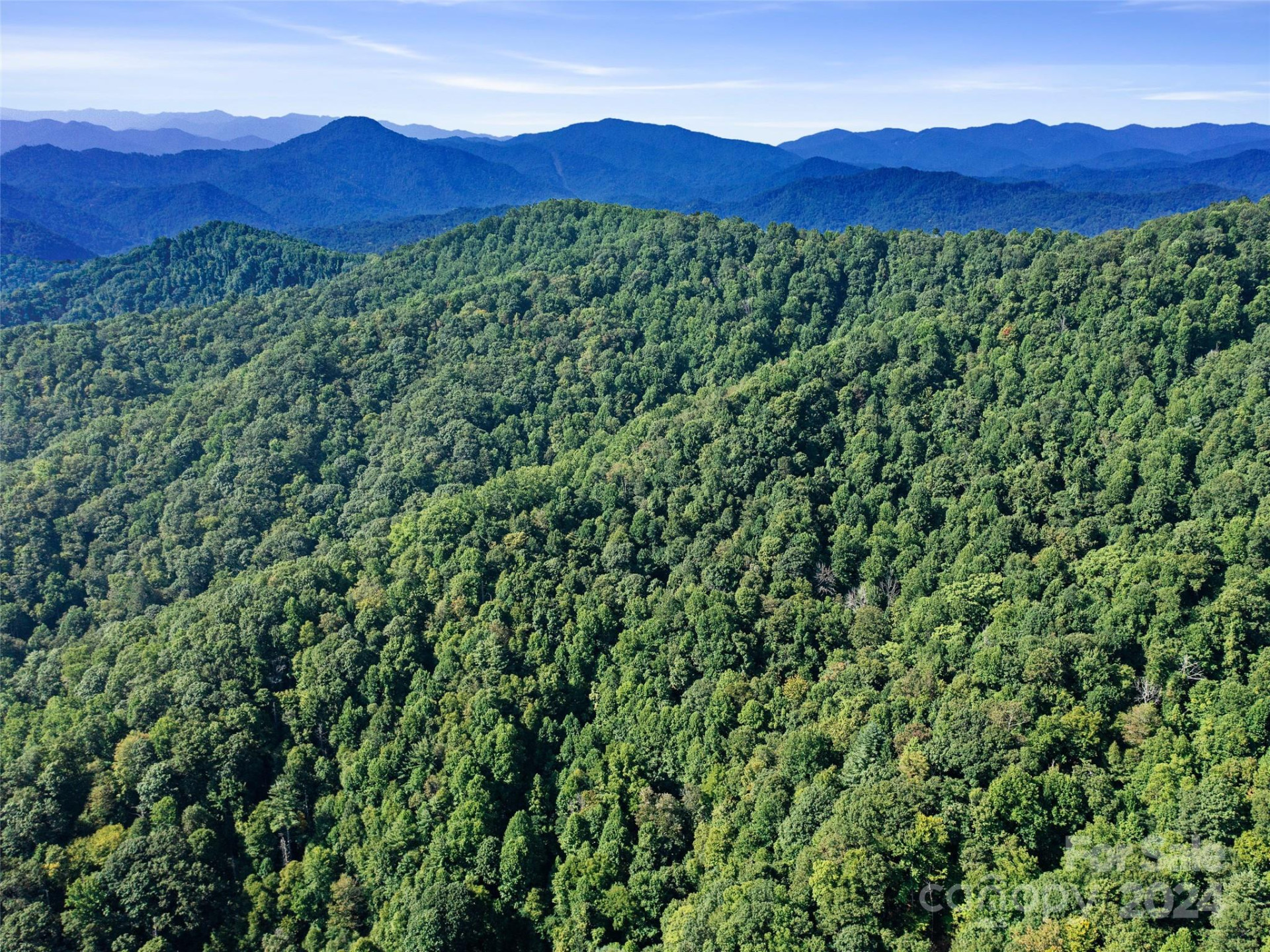 000 Byrd Creek Road - Photo 16