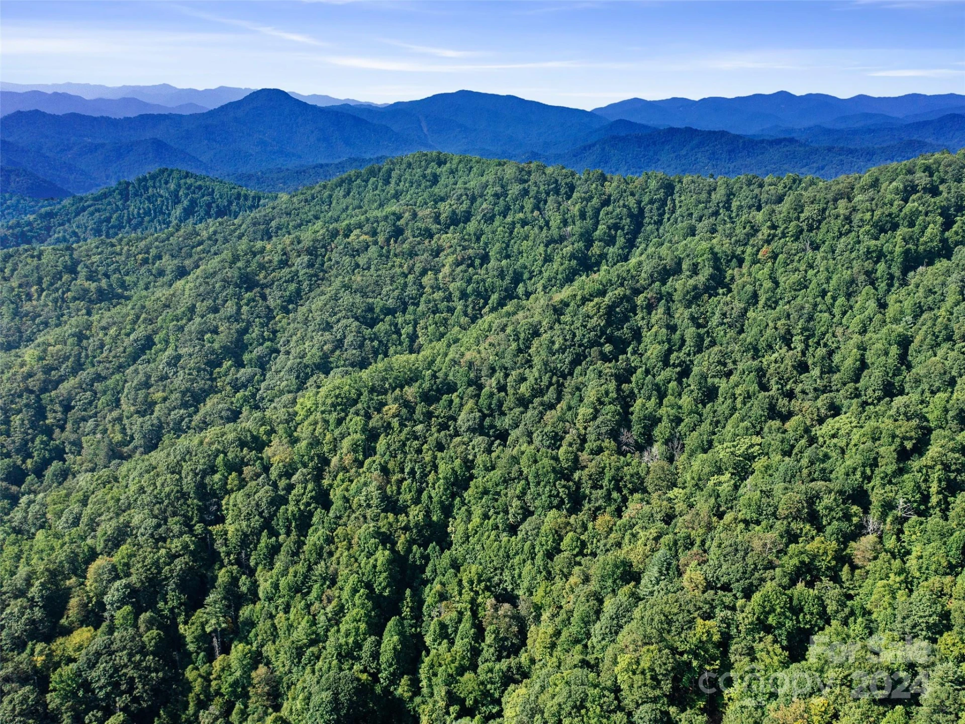 000 Byrd Creek Road - Photo 16