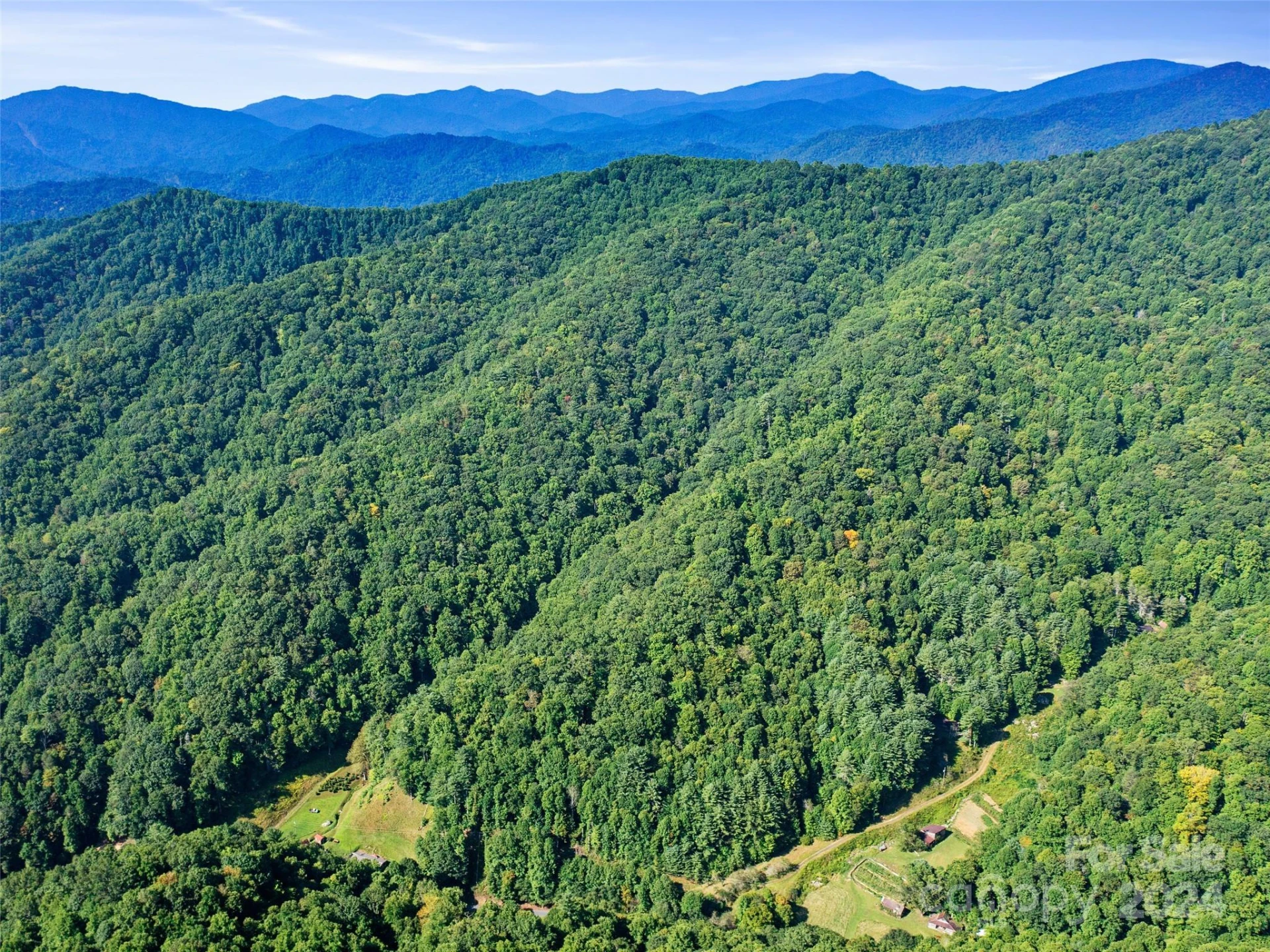 000 Byrd Creek Road - Photo 17