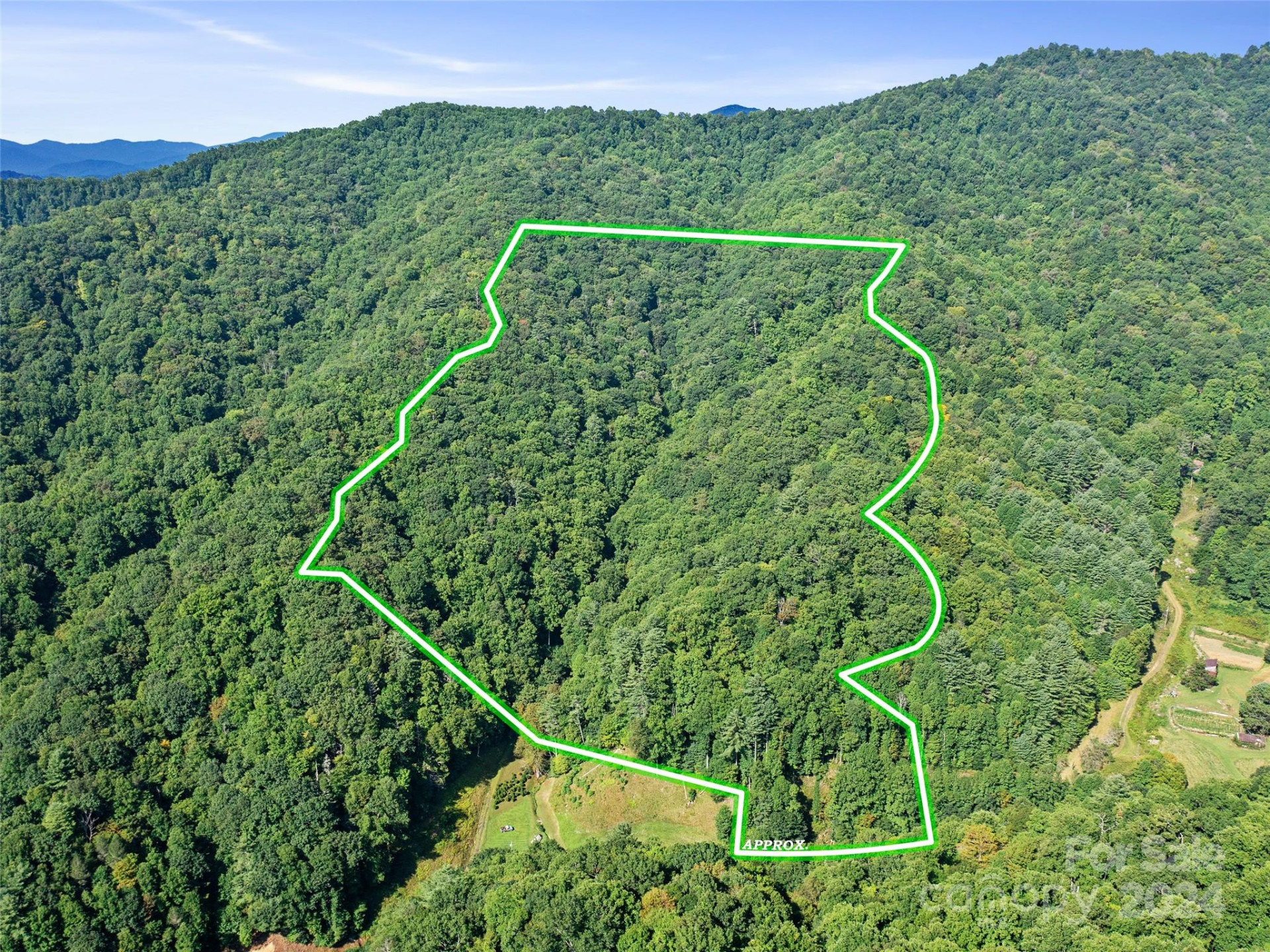 000 Byrd Creek Road - Photo 3