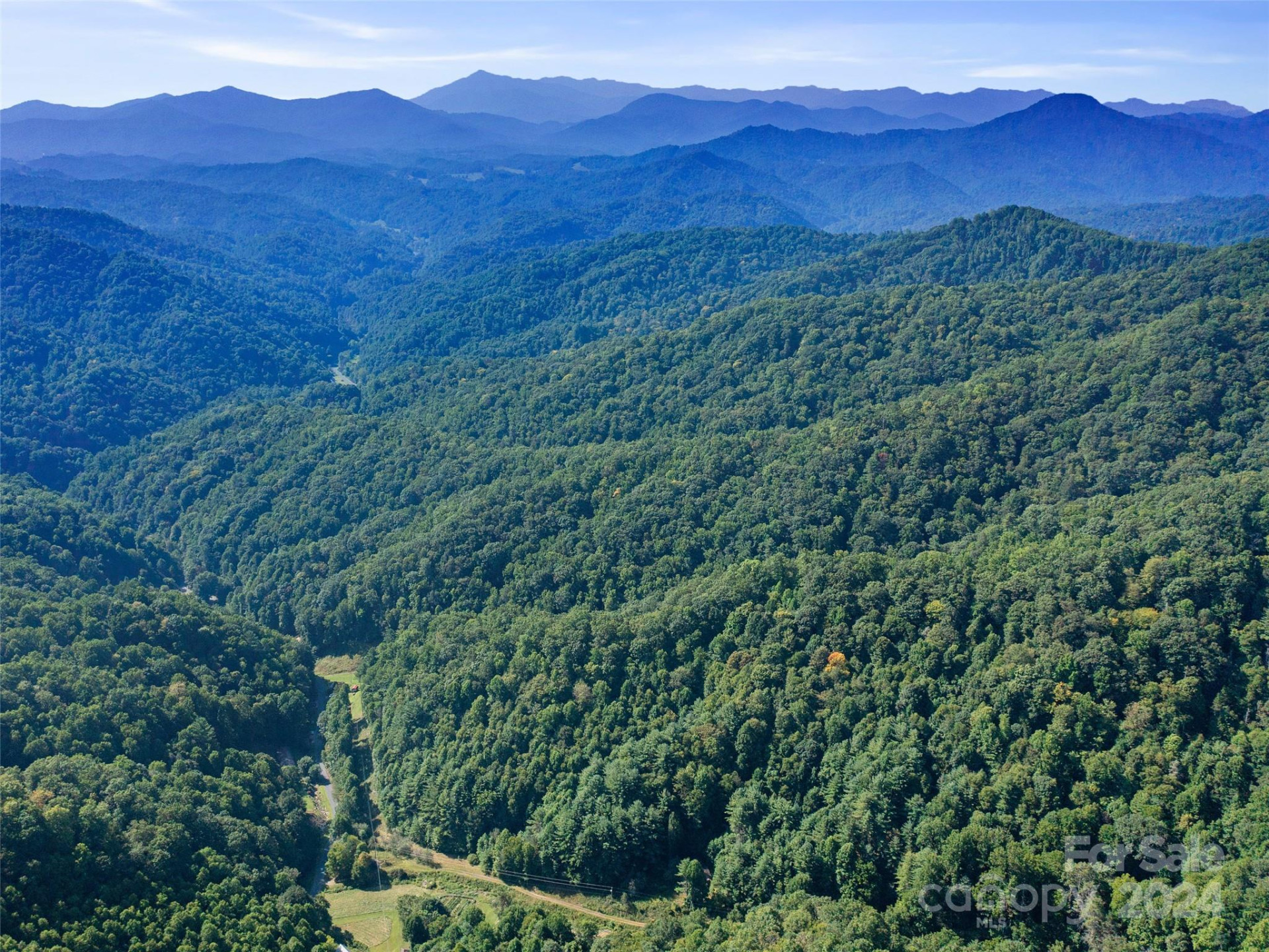 000 Byrd Creek Road - Photo 4