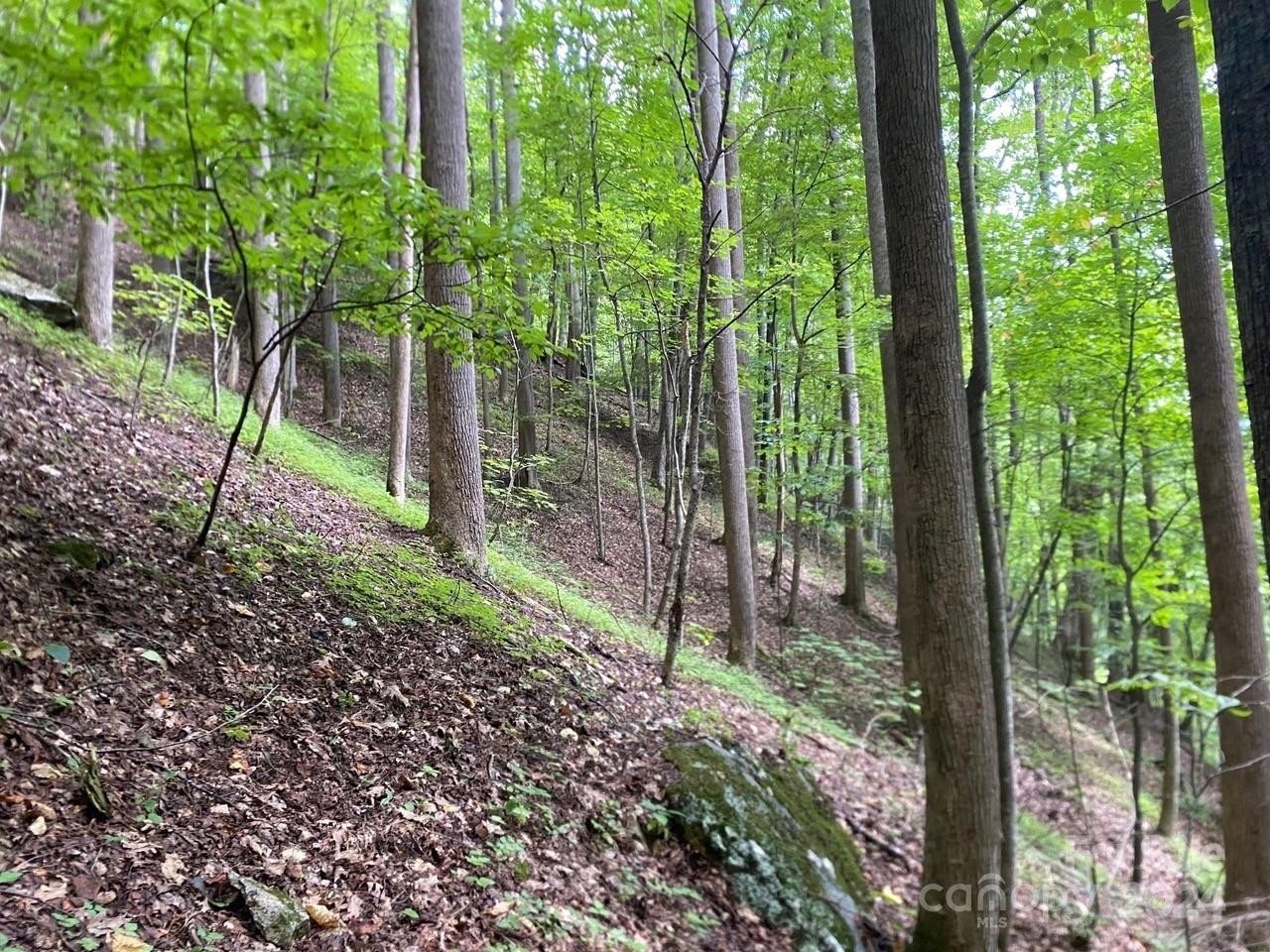 000 Byrd Creek Road - Photo 5