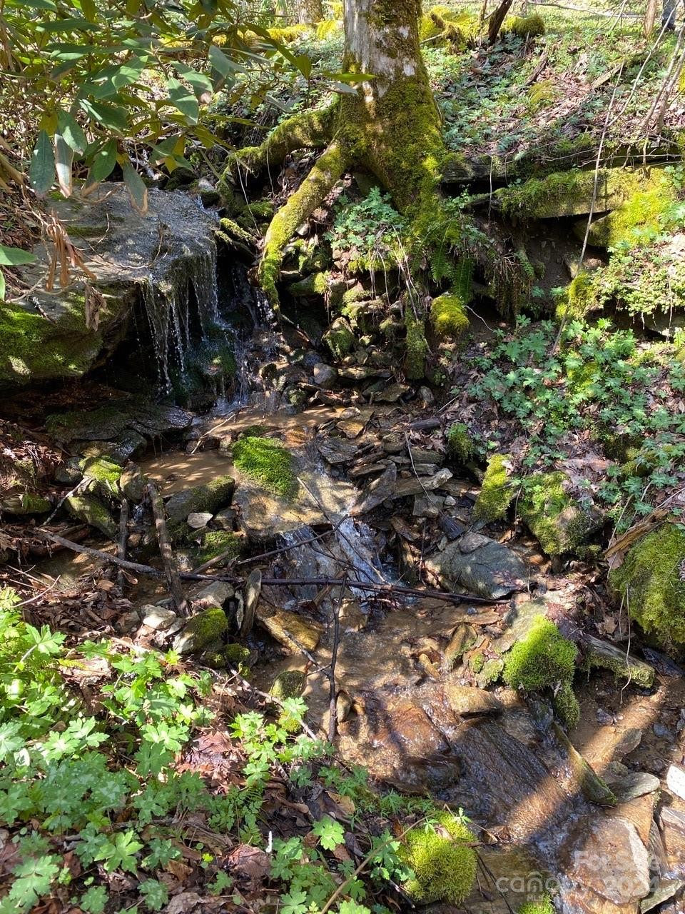 000 Byrd Creek Road - Photo 6