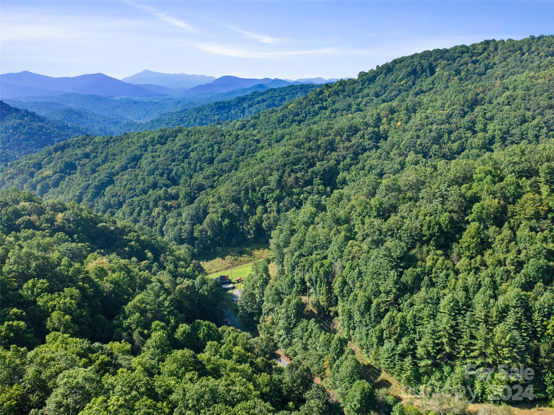 000 Byrd Creek Road - Photo 8