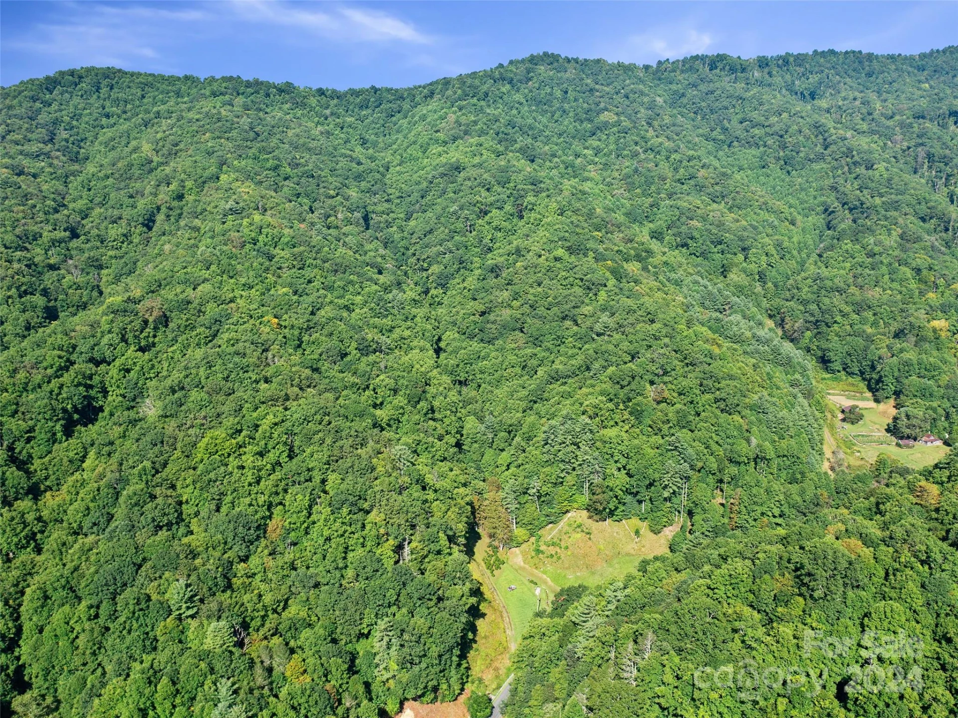 000 Byrd Creek Road - Photo 10