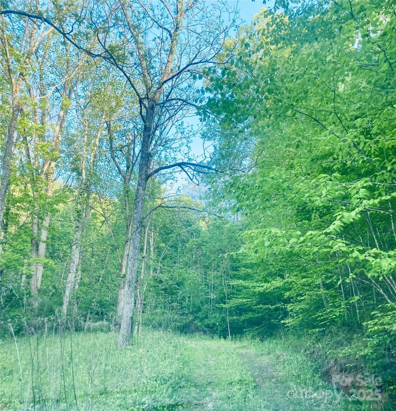 00 Gentry Farm Drive - Photo 16