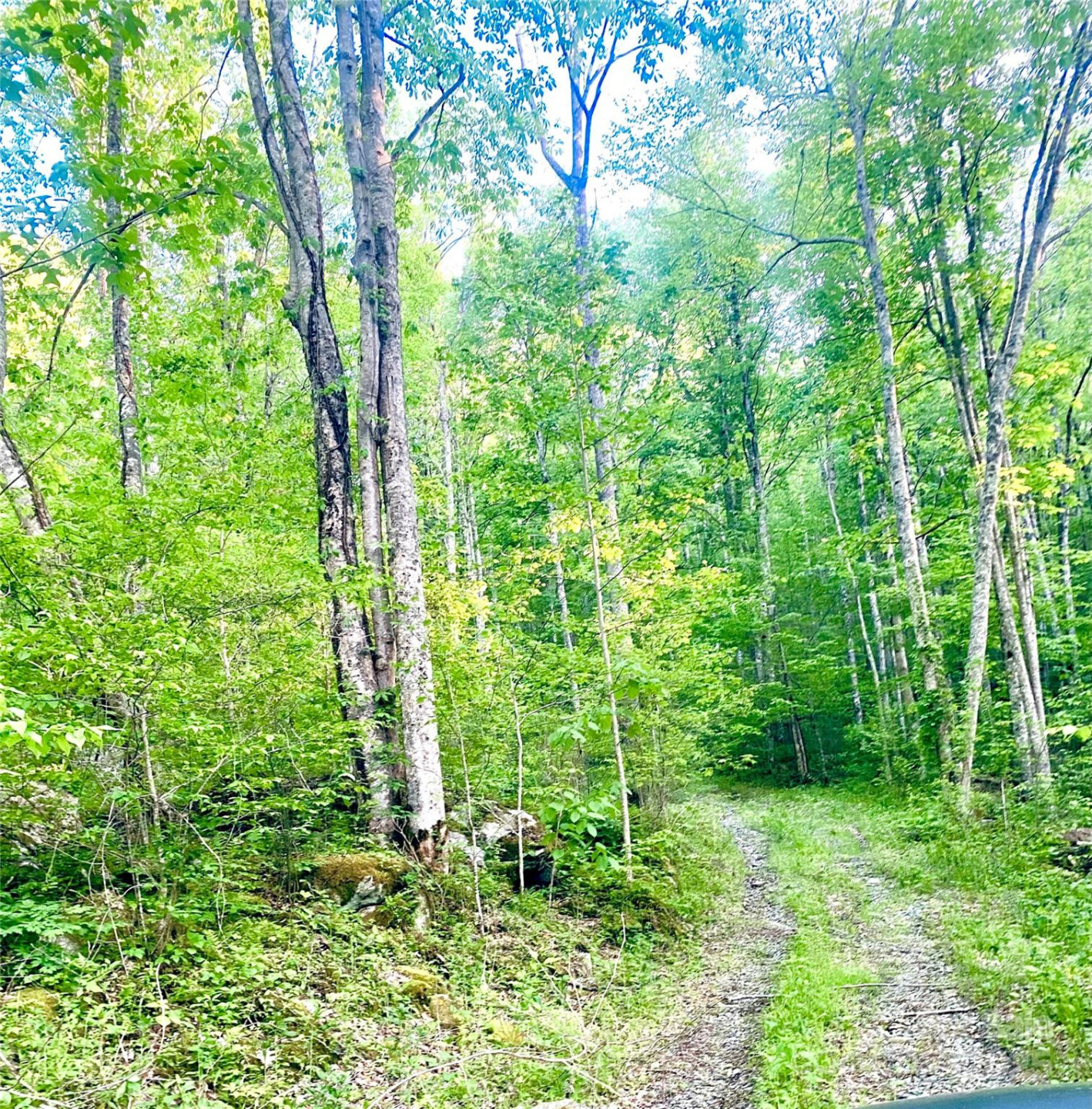 00 Gentry Farm Drive - Photo 17