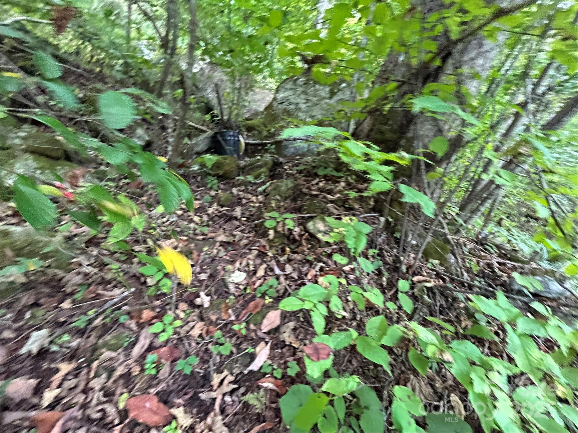 00 Gentry Farm Drive - Photo 26