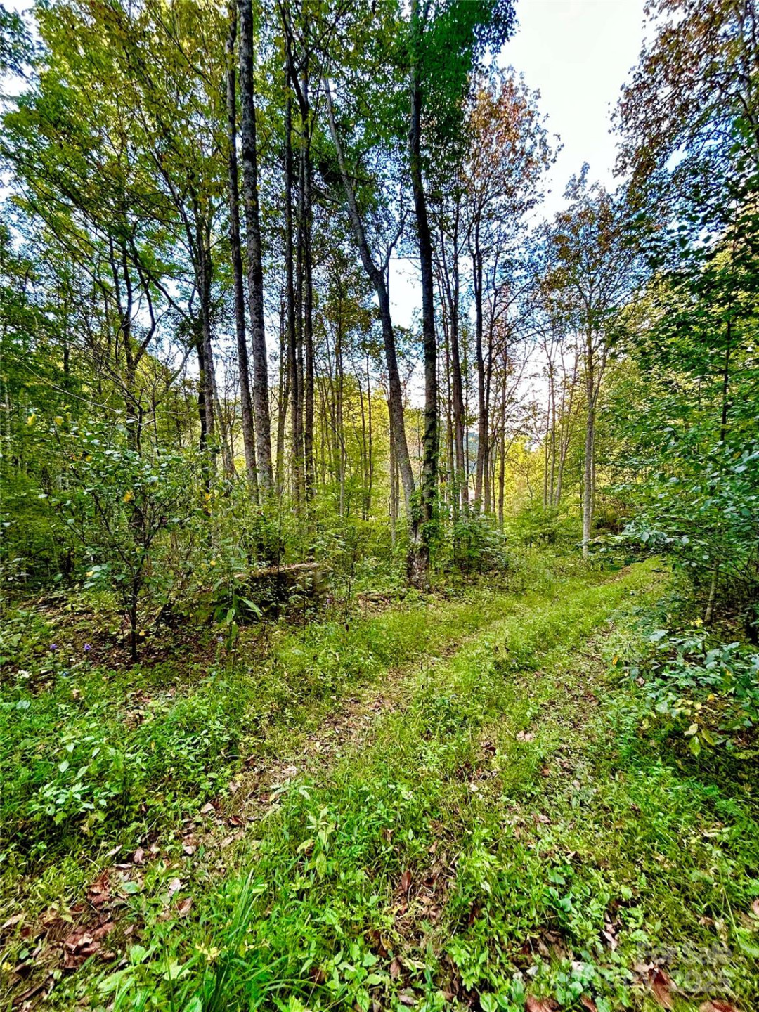 00 Gentry Farm Drive - Photo 27