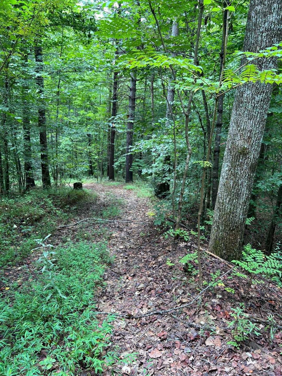 645 Tunnel Road #157 & 158