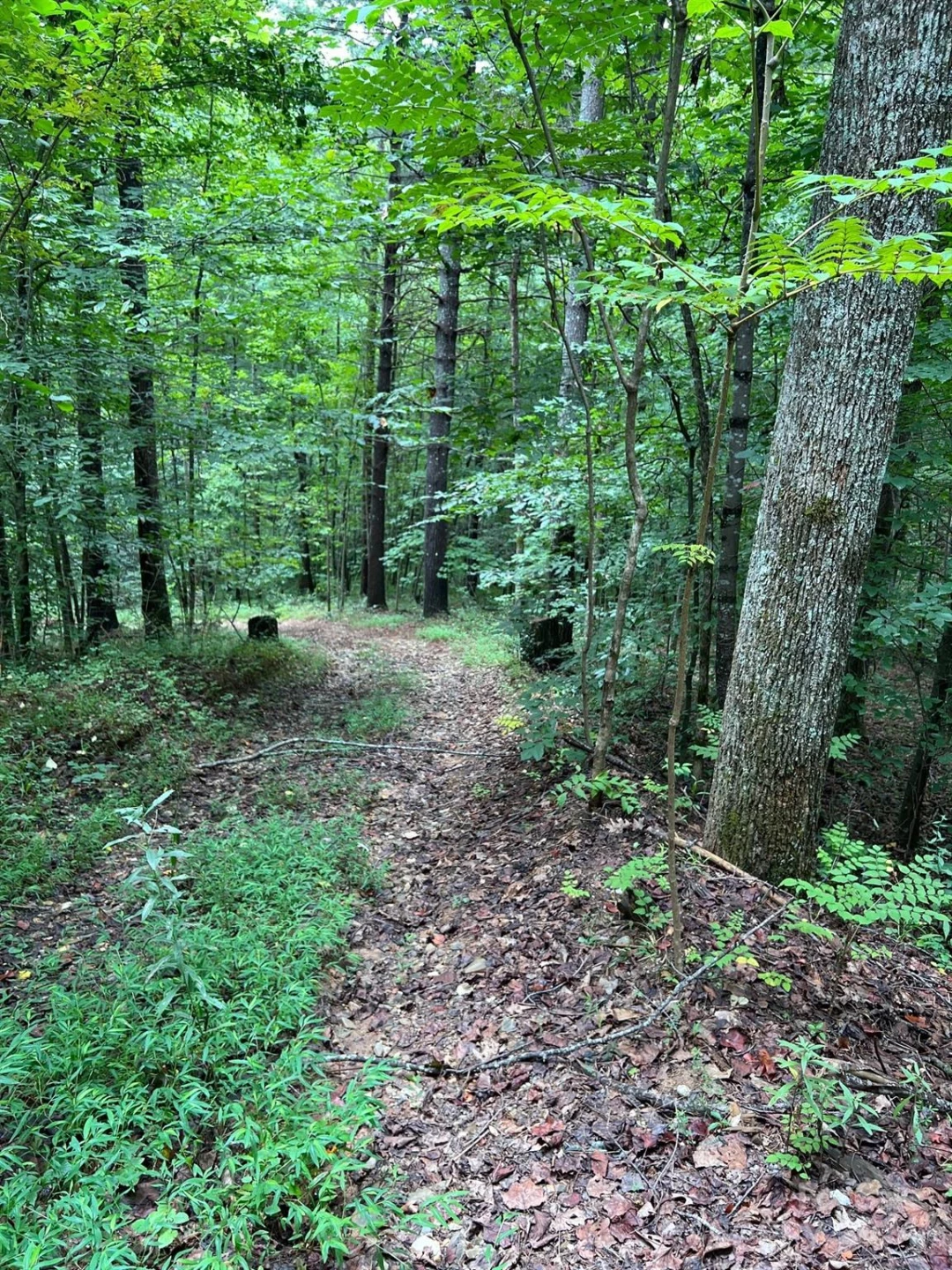 645 Tunnel Road #157 & 158