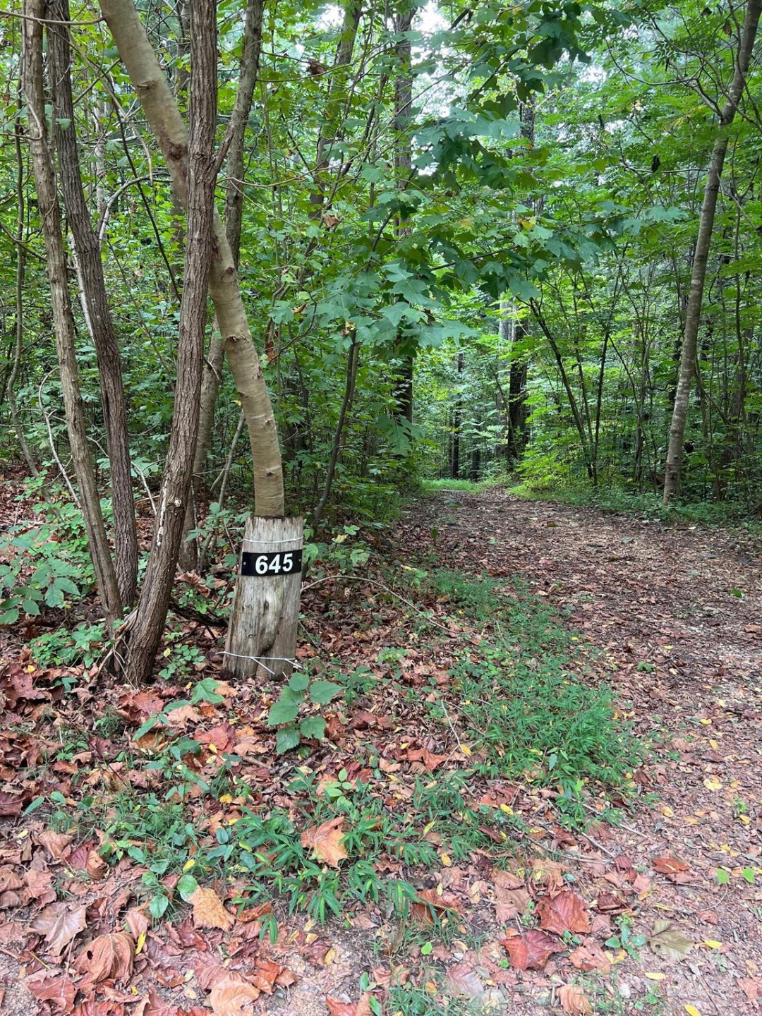 645 Tunnel Road #157 & 158 - Photo 2