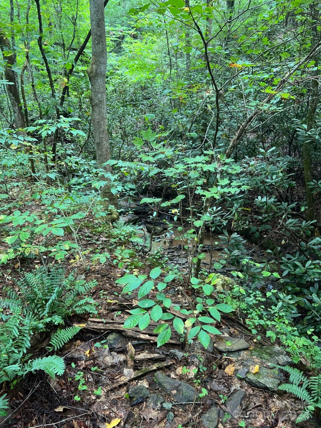 645 Tunnel Road #157 & 158 - Photo 4