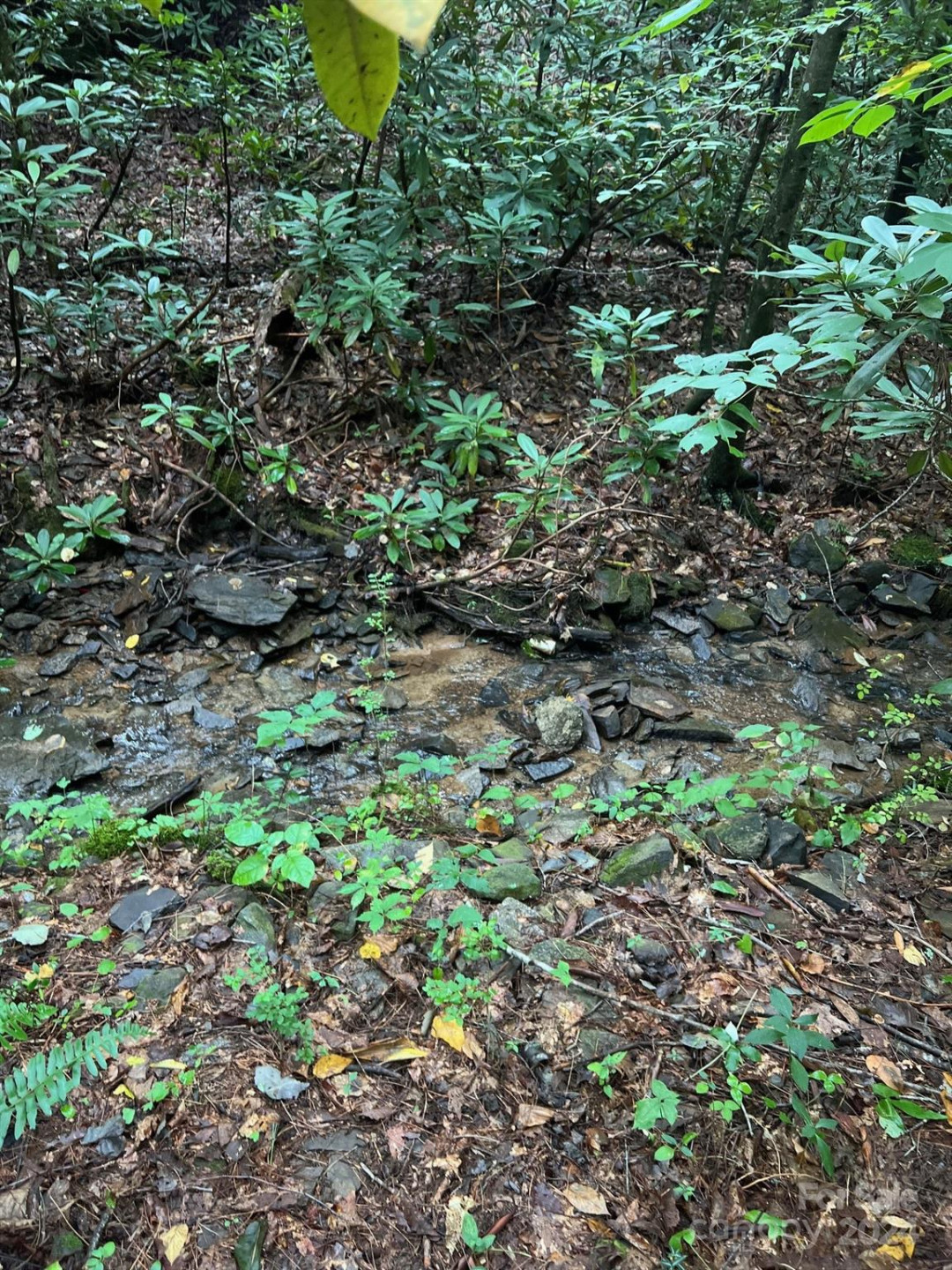 645 Tunnel Road #157 & 158 - Photo 5