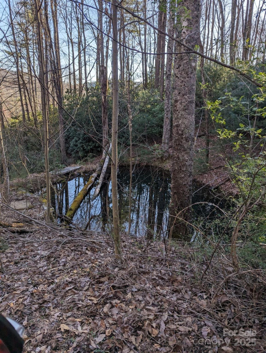 1605 Golden Road - Photo 12