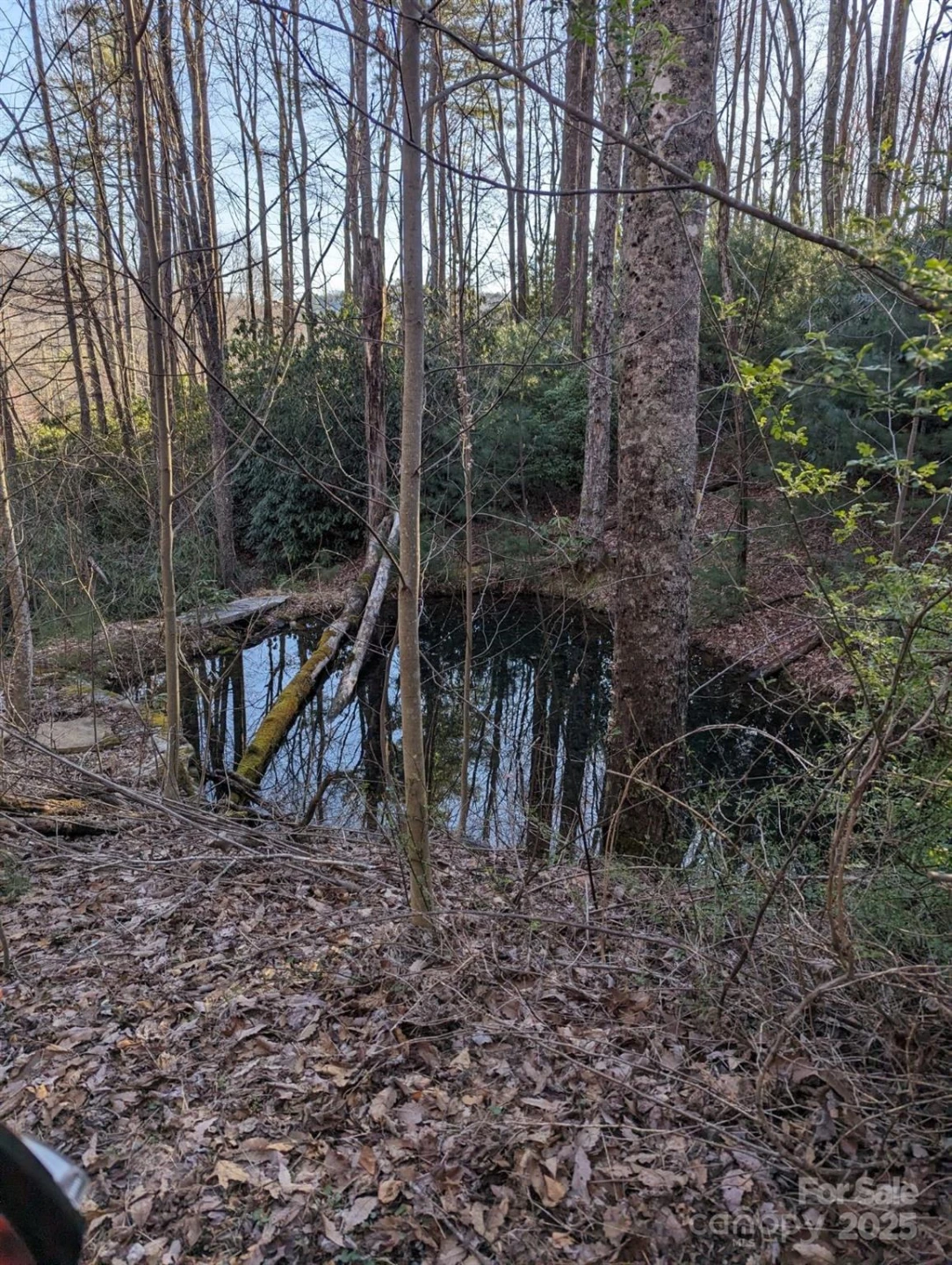 1605 Golden Road - Photo 12