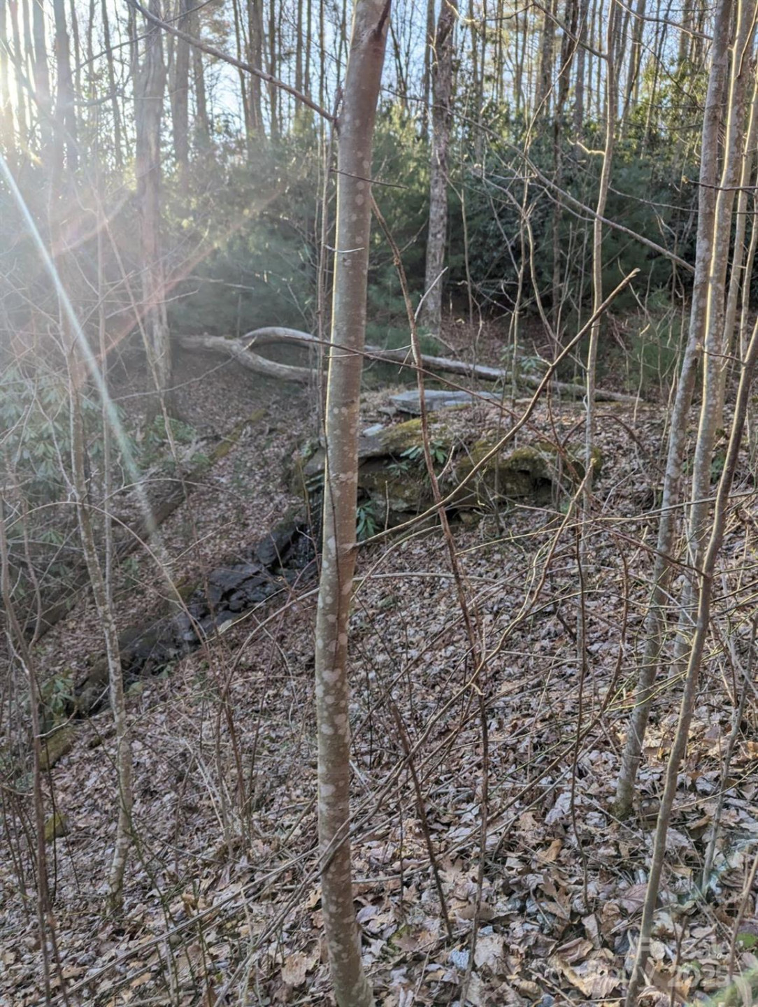 1605 Golden Road - Photo 15