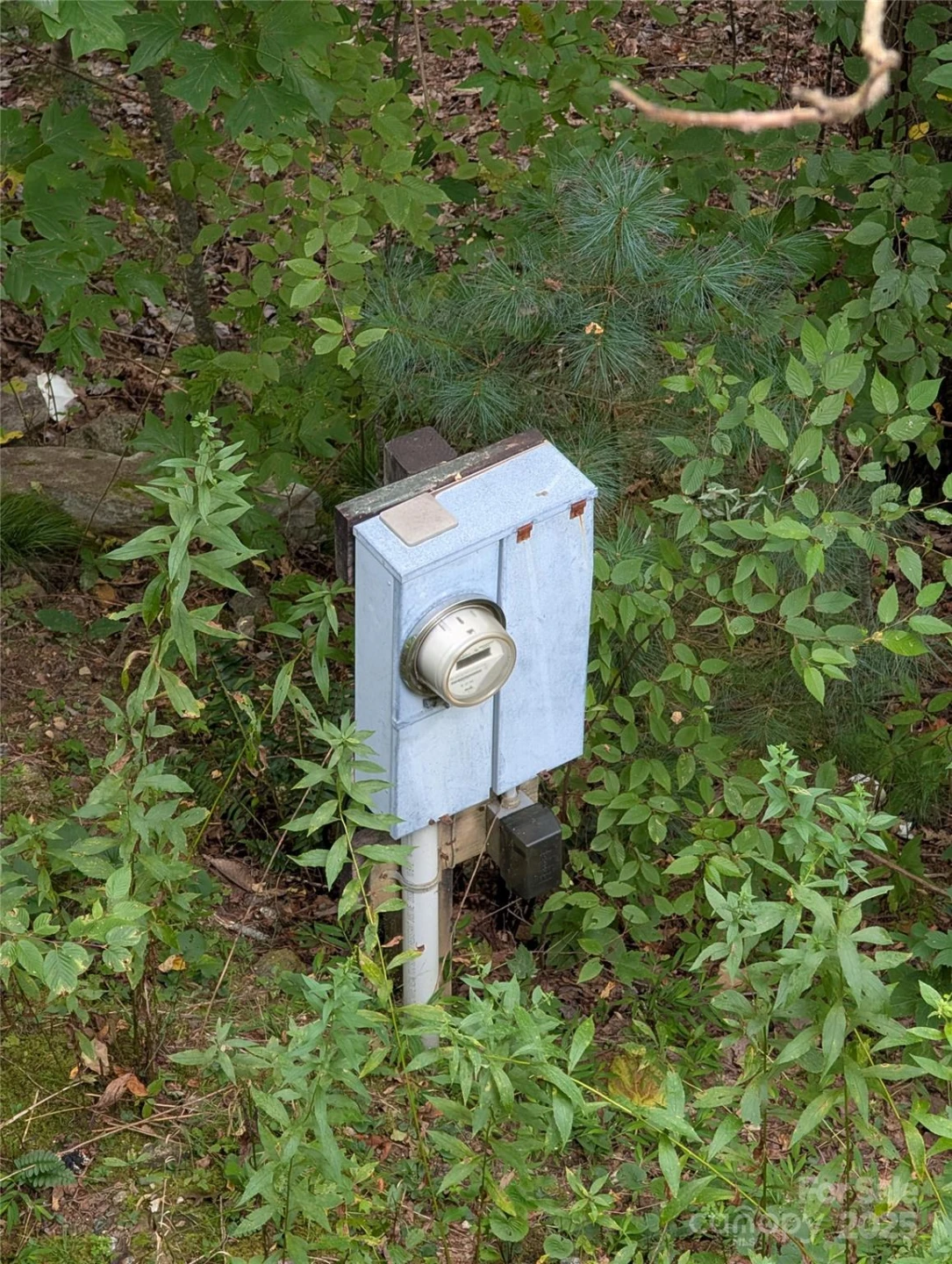 1605 Golden Road - Photo 22