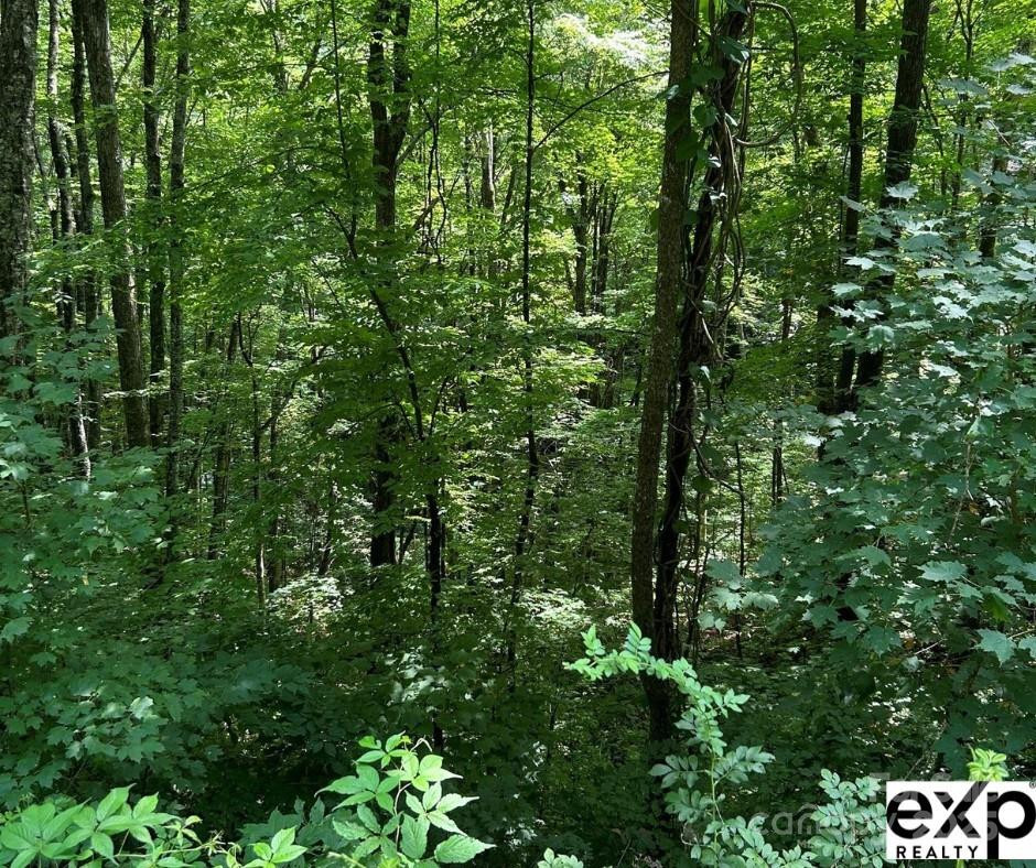 0000 Conley Drive - Photo 2