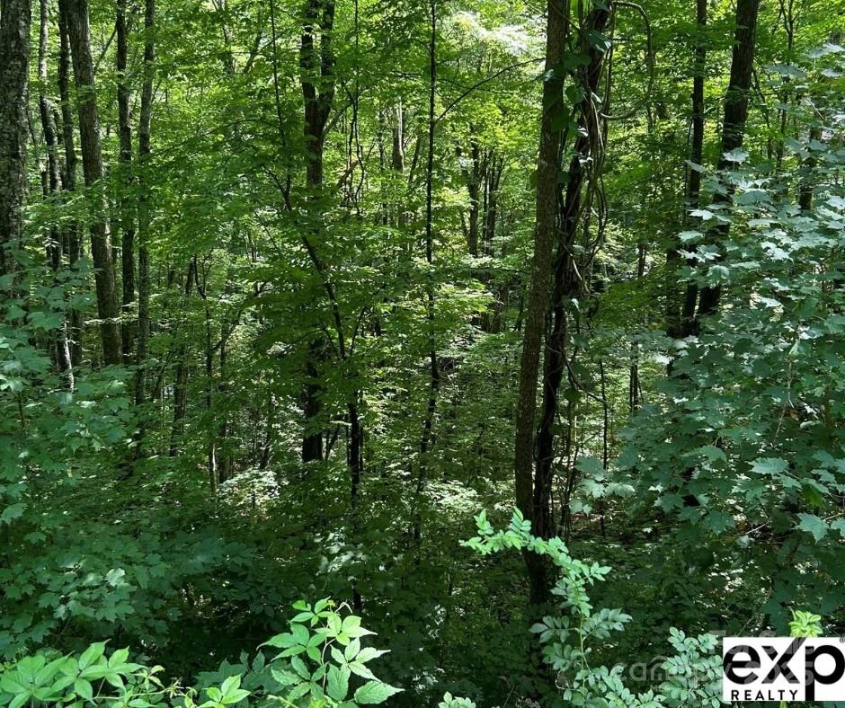 0000 Conley Drive - Photo 2