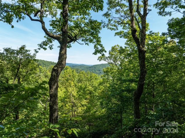 Lot 25 Panther Mountain Road, Zirconia, NC, 28790