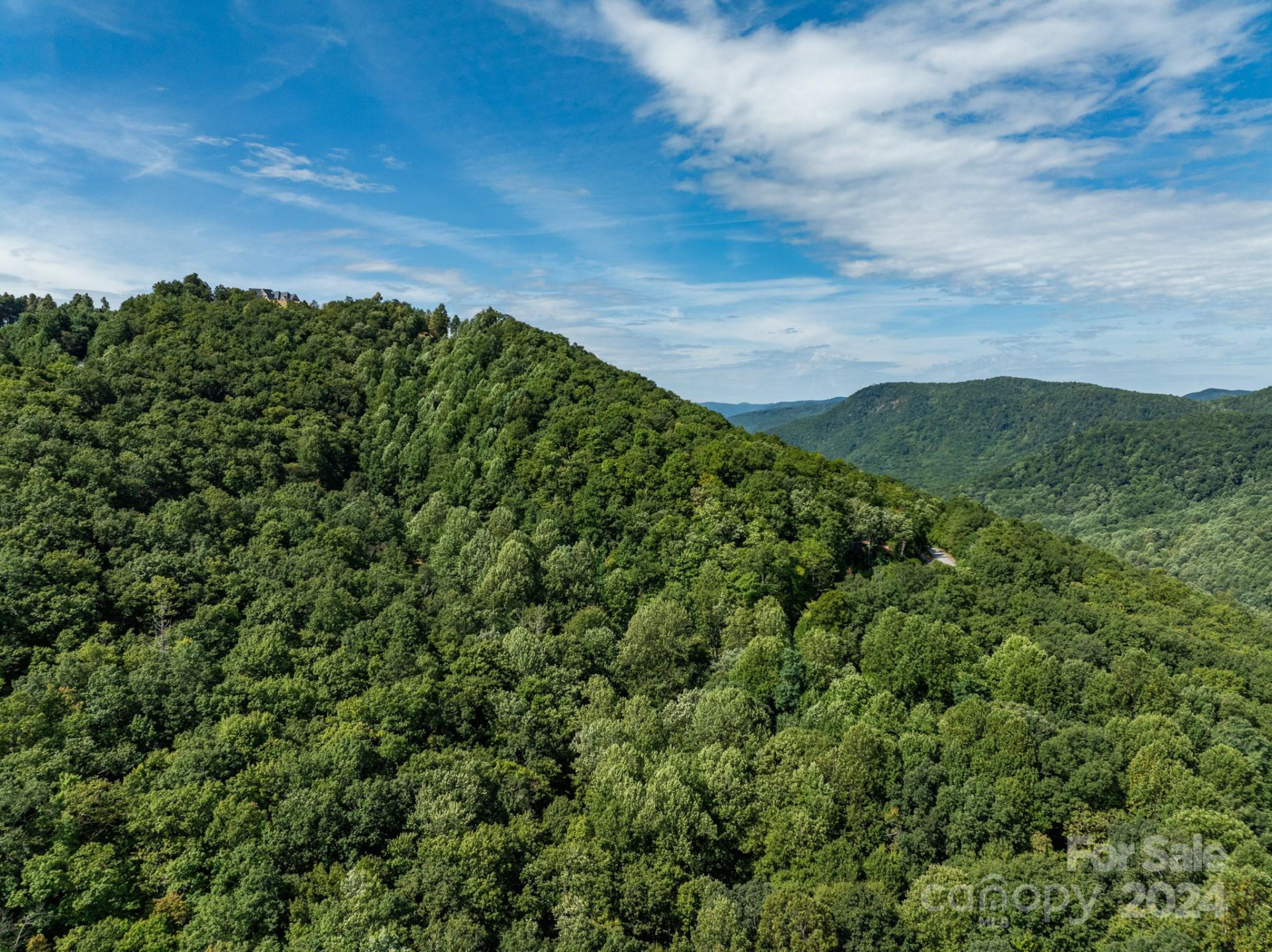 Lot 25 Panther Mountain Road #CVN-CVN-025 - Photo 11