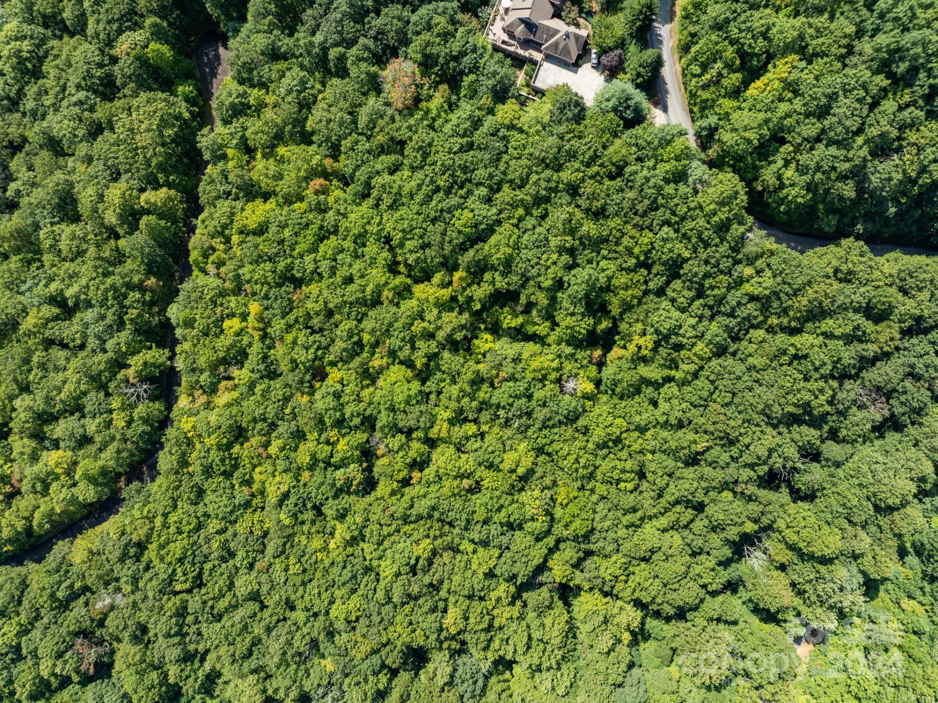 Lot 25 Panther Mountain Road #CVN-CVN-025 - Photo 13