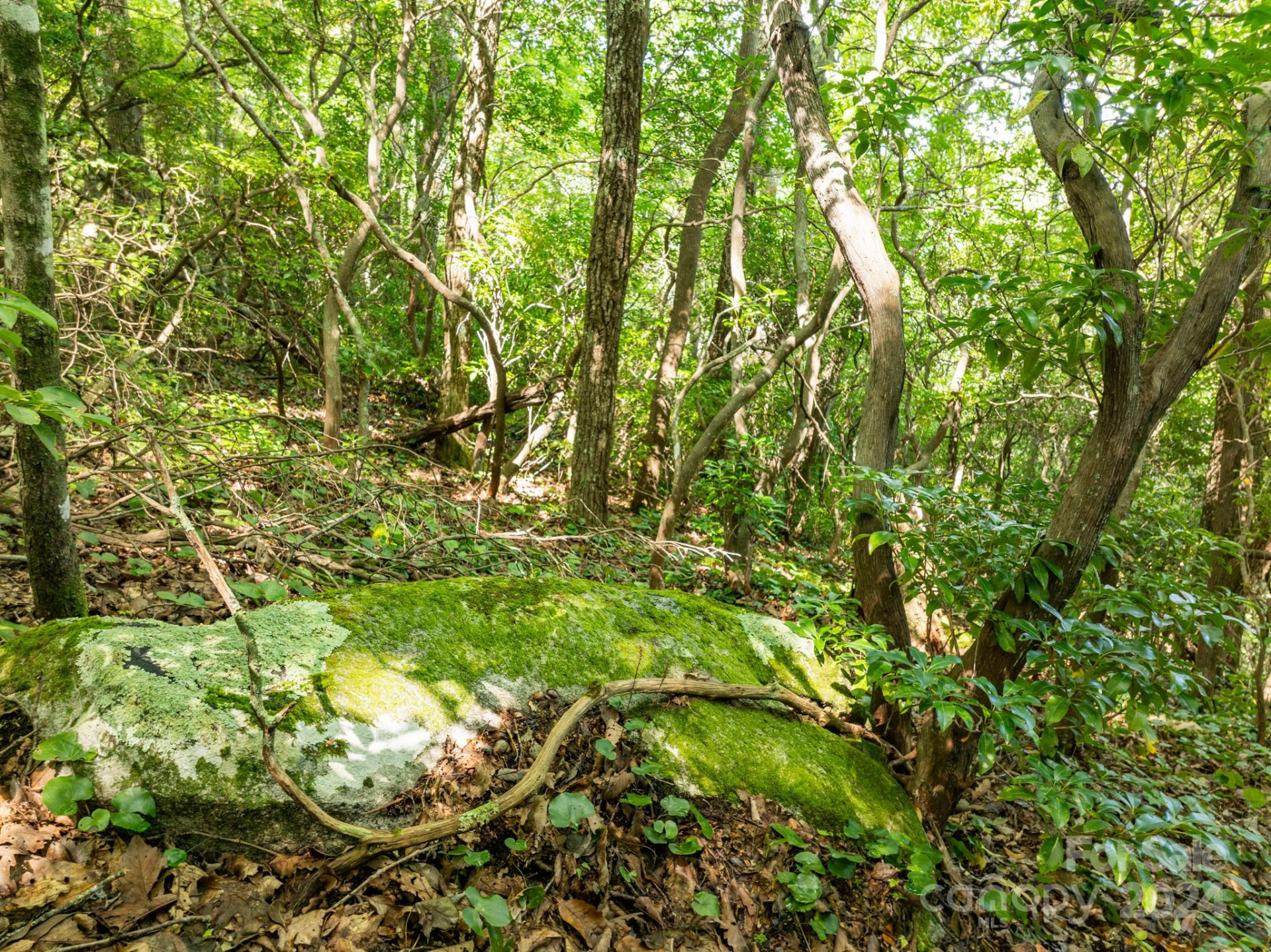 Lot 25 Panther Mountain Road #CVN-CVN-025 - Photo 15