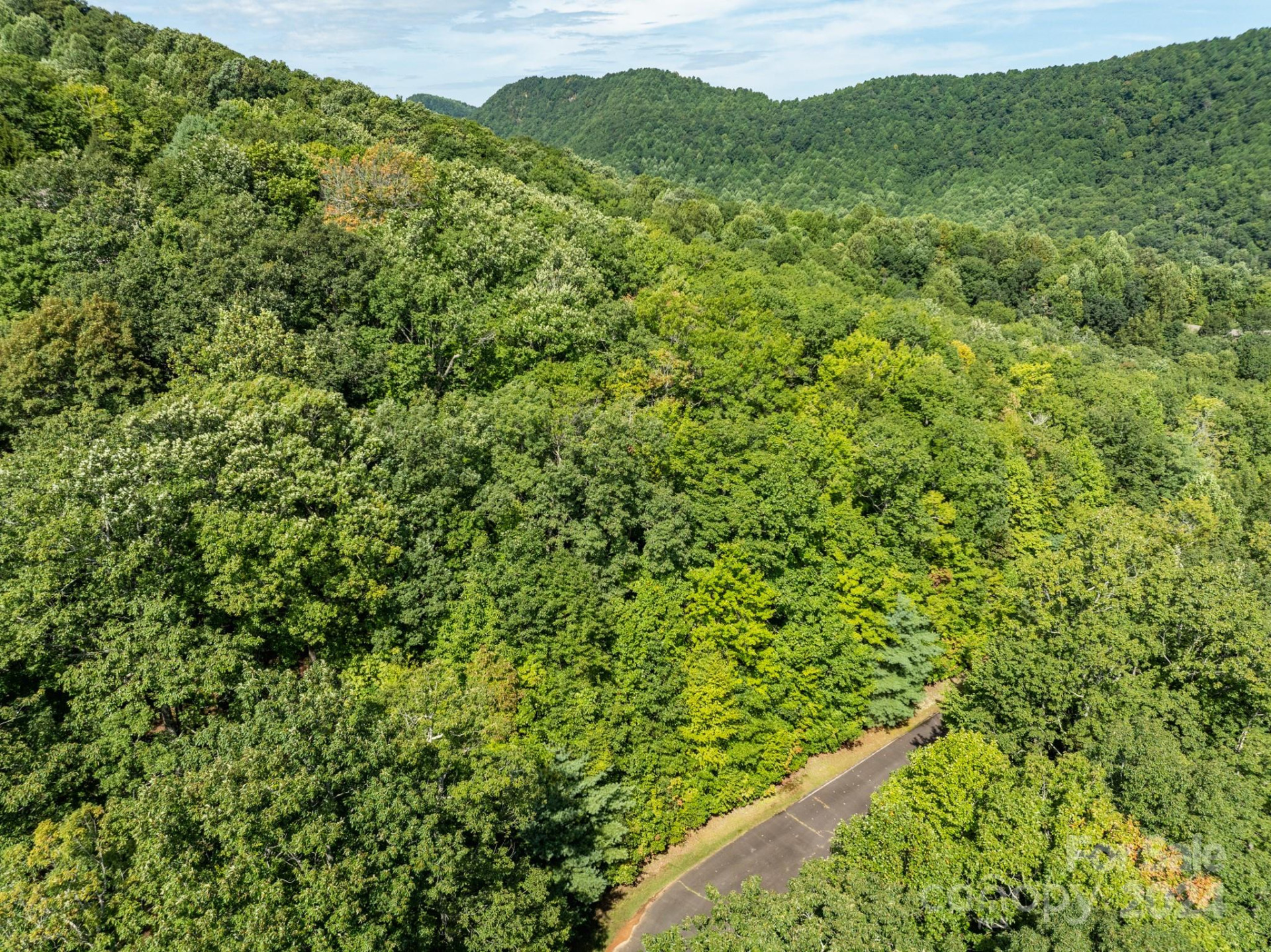 Lot 25 Panther Mountain Road #CVN-CVN-025 - Photo 20