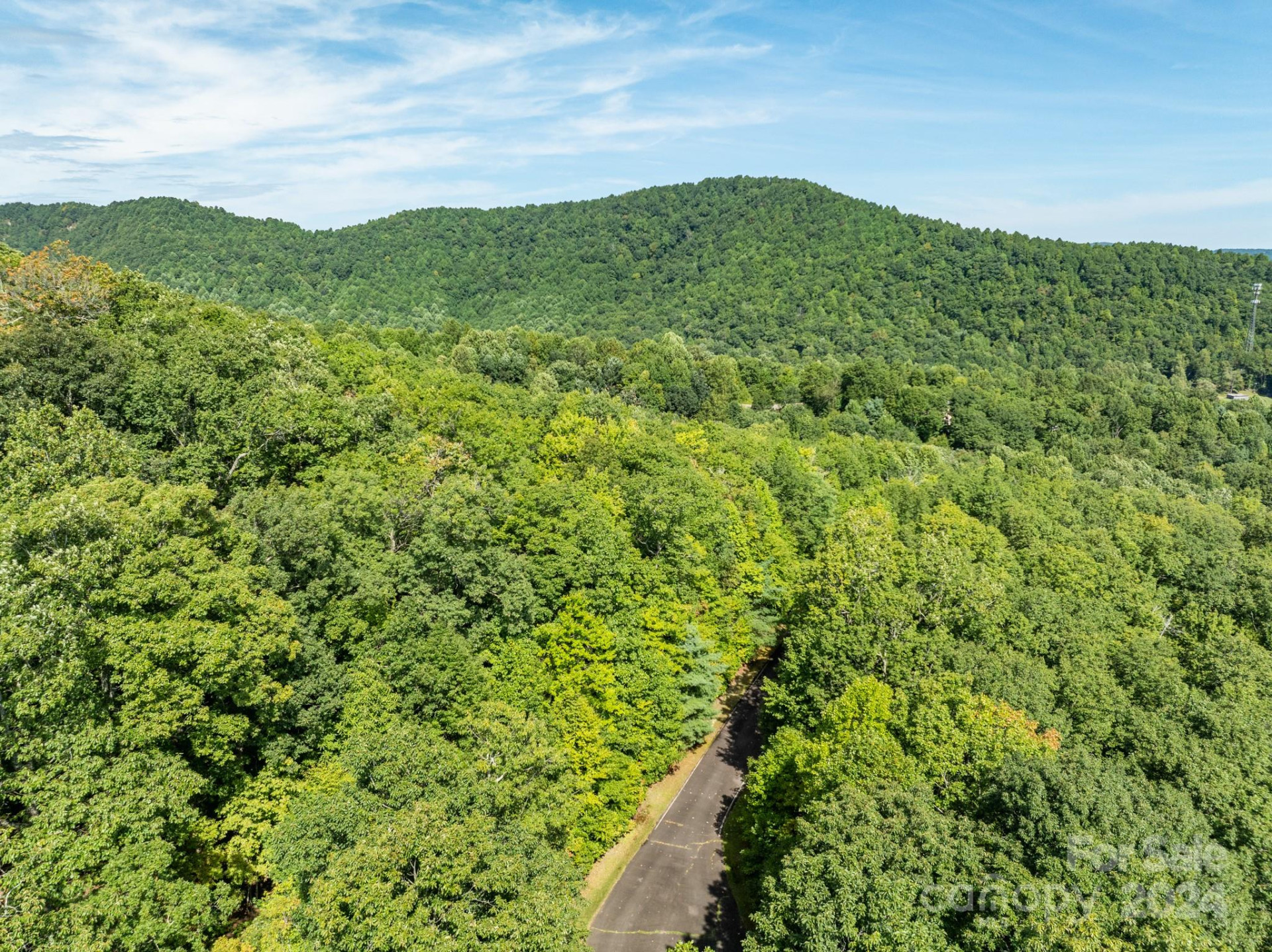 Lot 25 Panther Mountain Road #CVN-CVN-025 - Photo 21