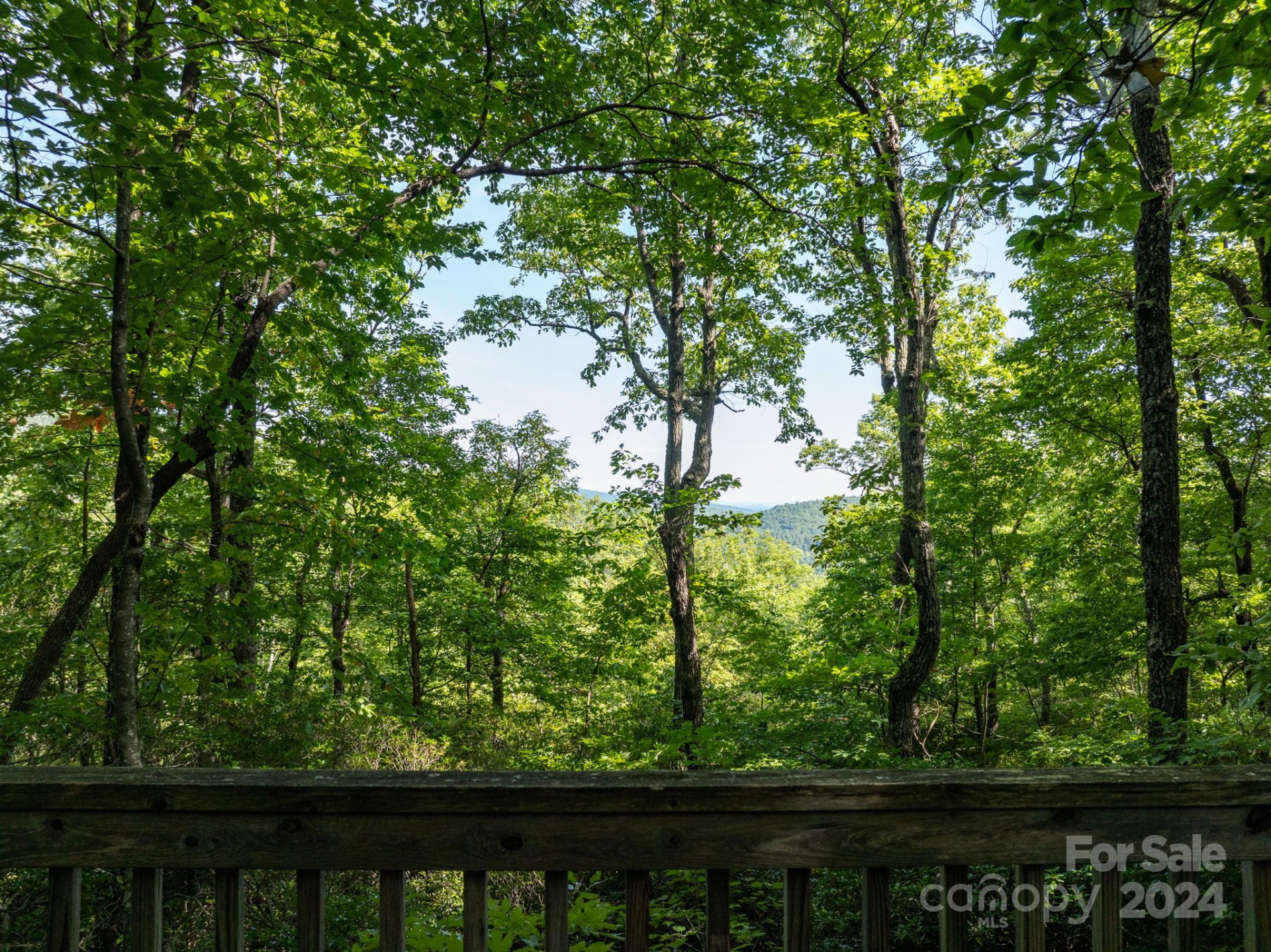 Lot 25 Panther Mountain Road #CVN-CVN-025 - Photo 22